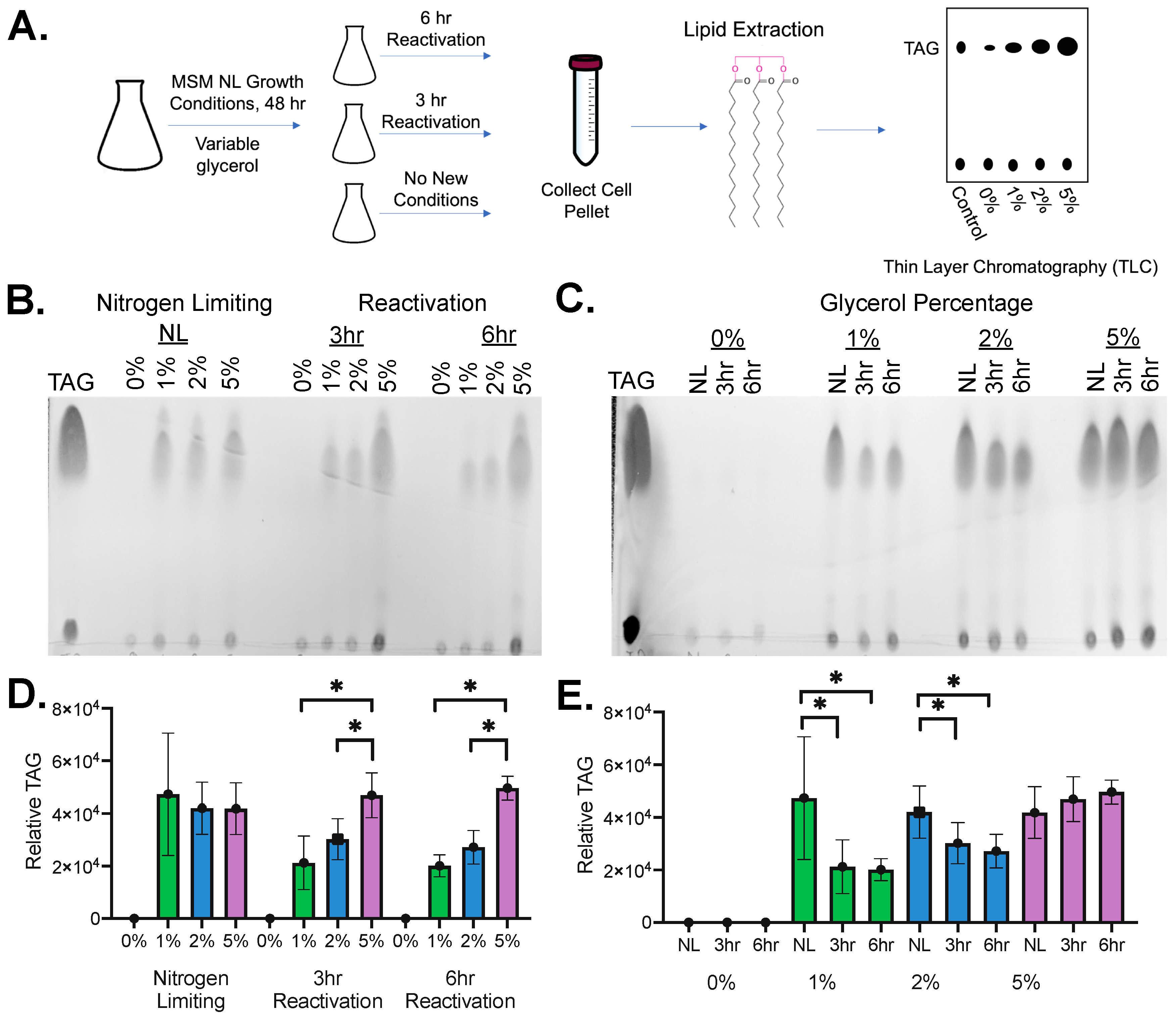 Molecules 29 03386 g001