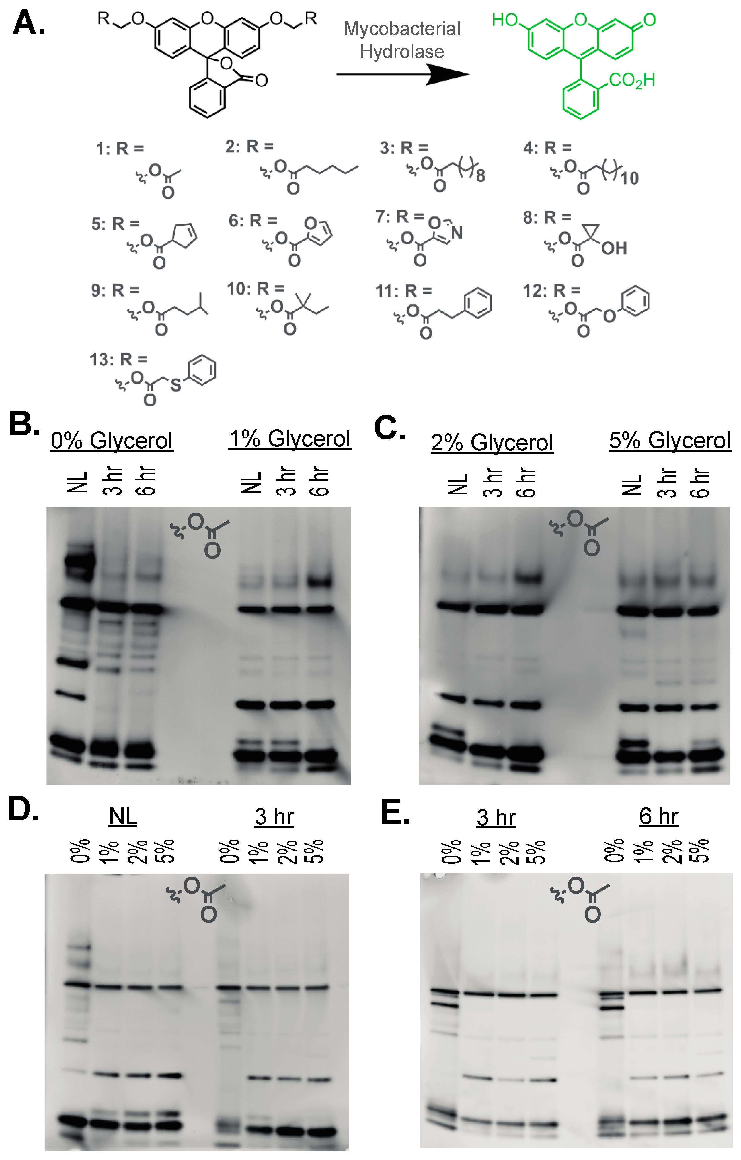 Molecules 29 03386 g002