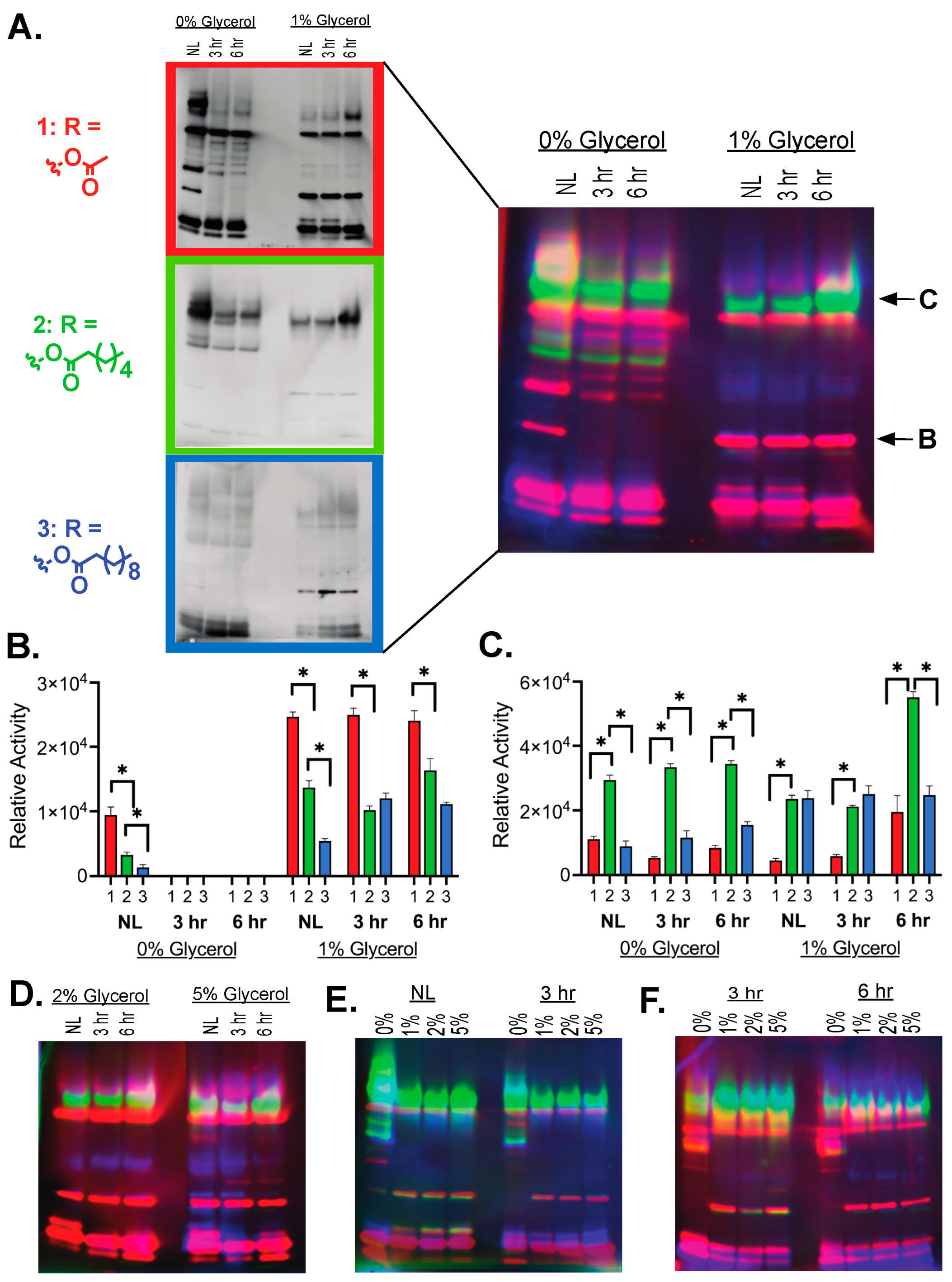 Molecules 29 03386 g004