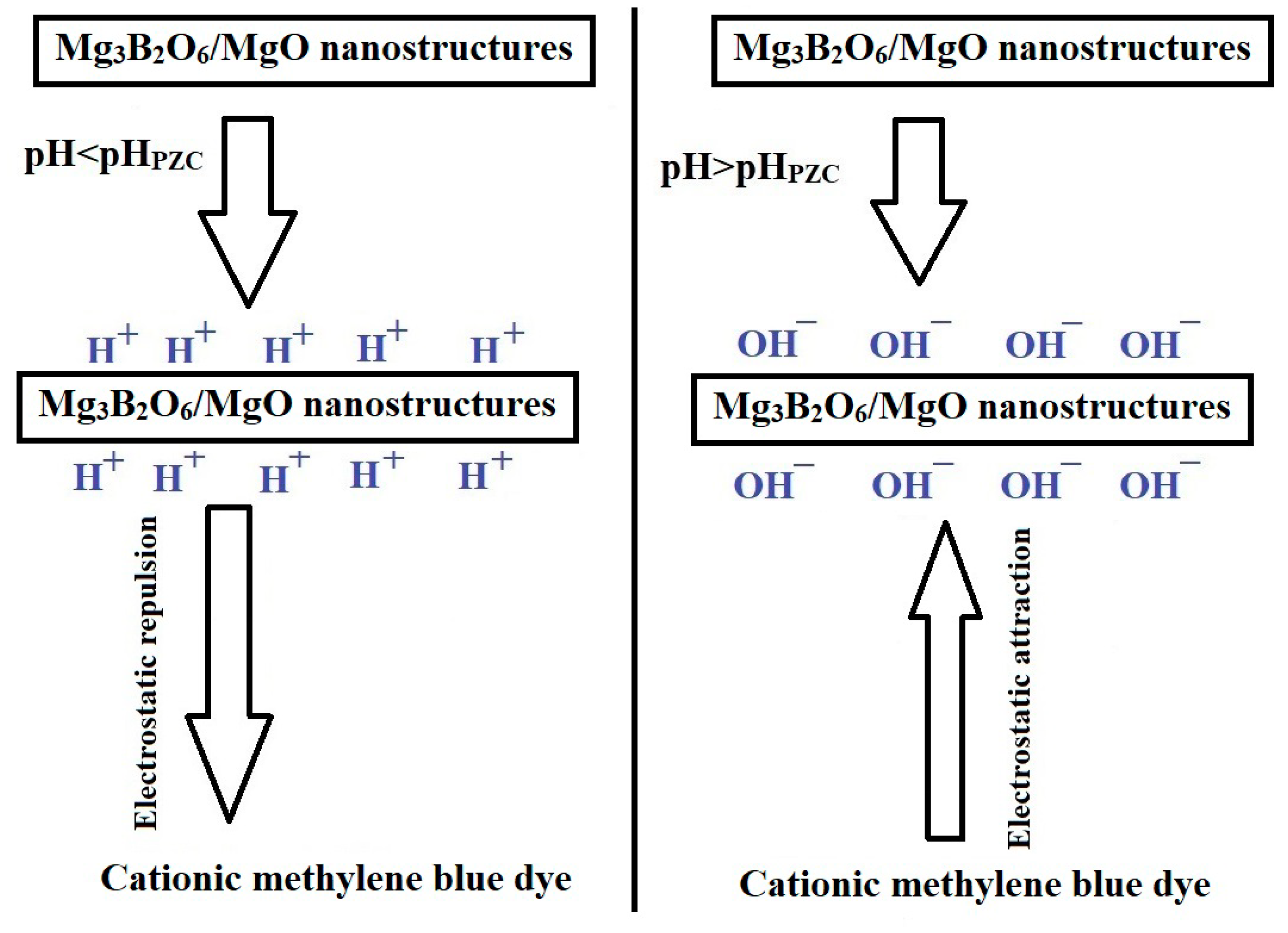 Molecules 29 03392 sch001