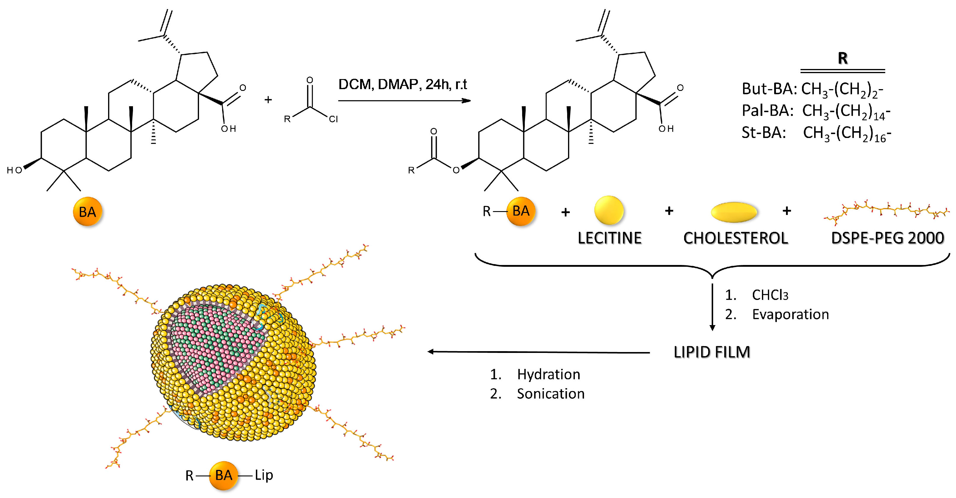 Molecules 29 03399 g001