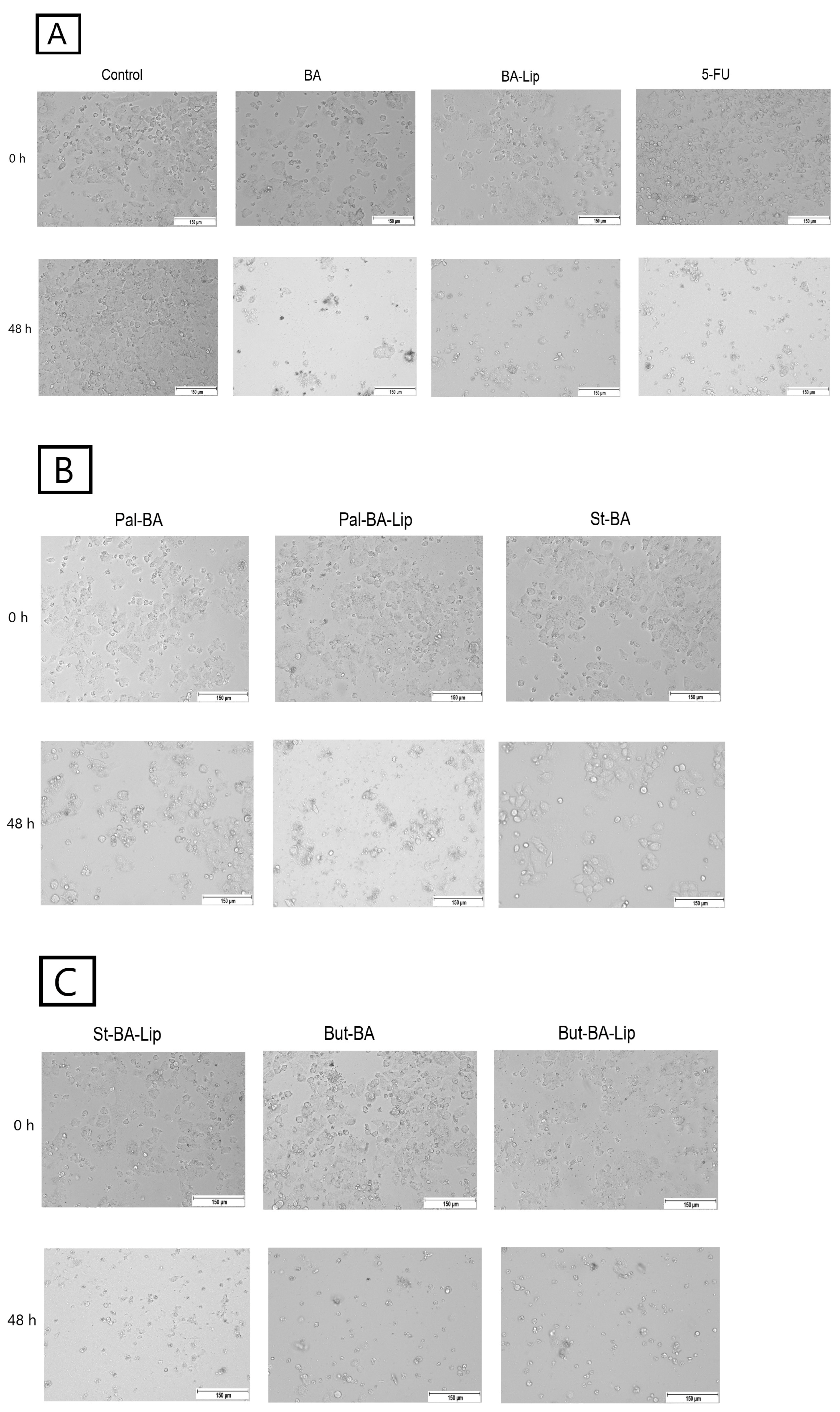 Molecules 29 03399 g007