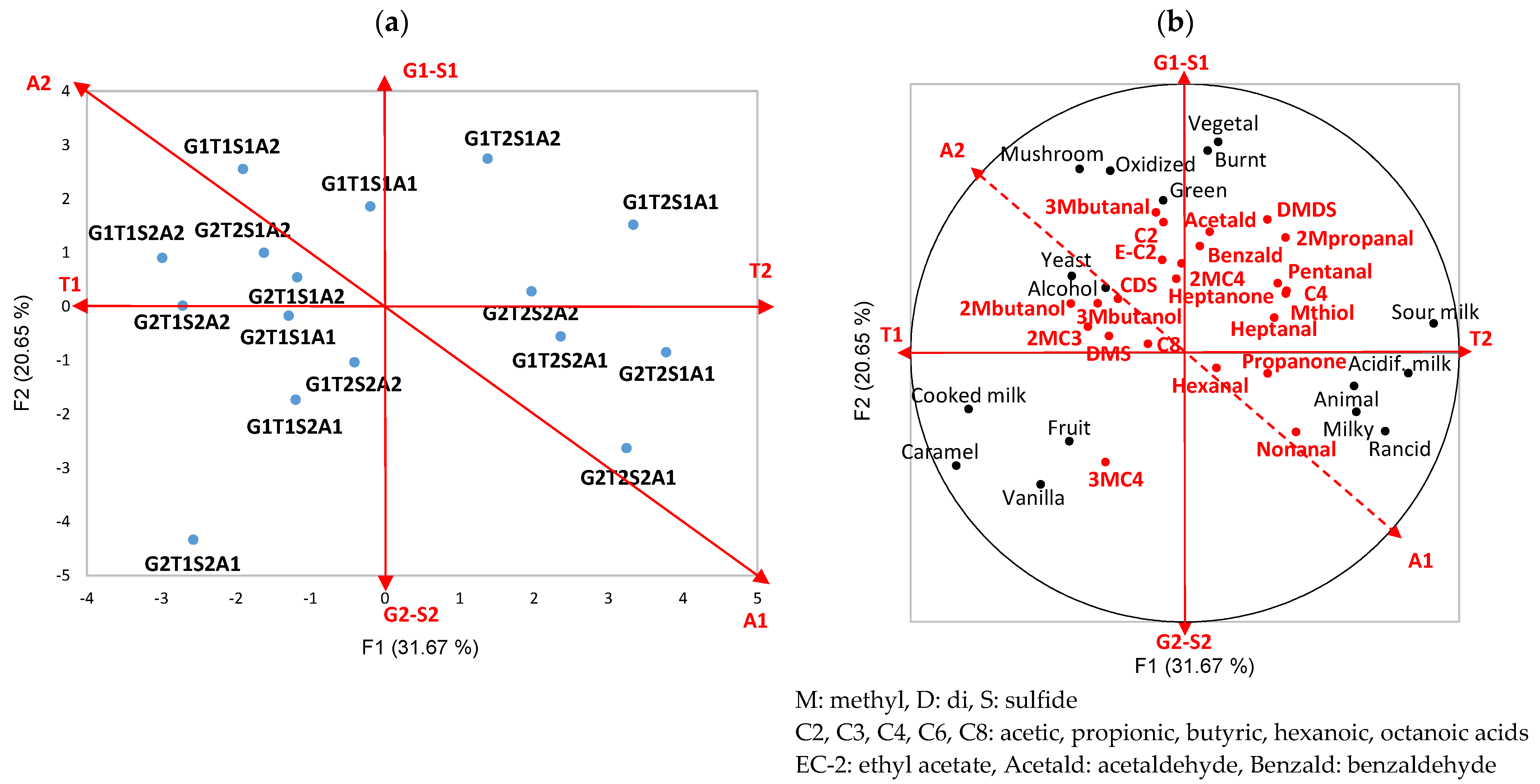 Molecules 29 03412 g002