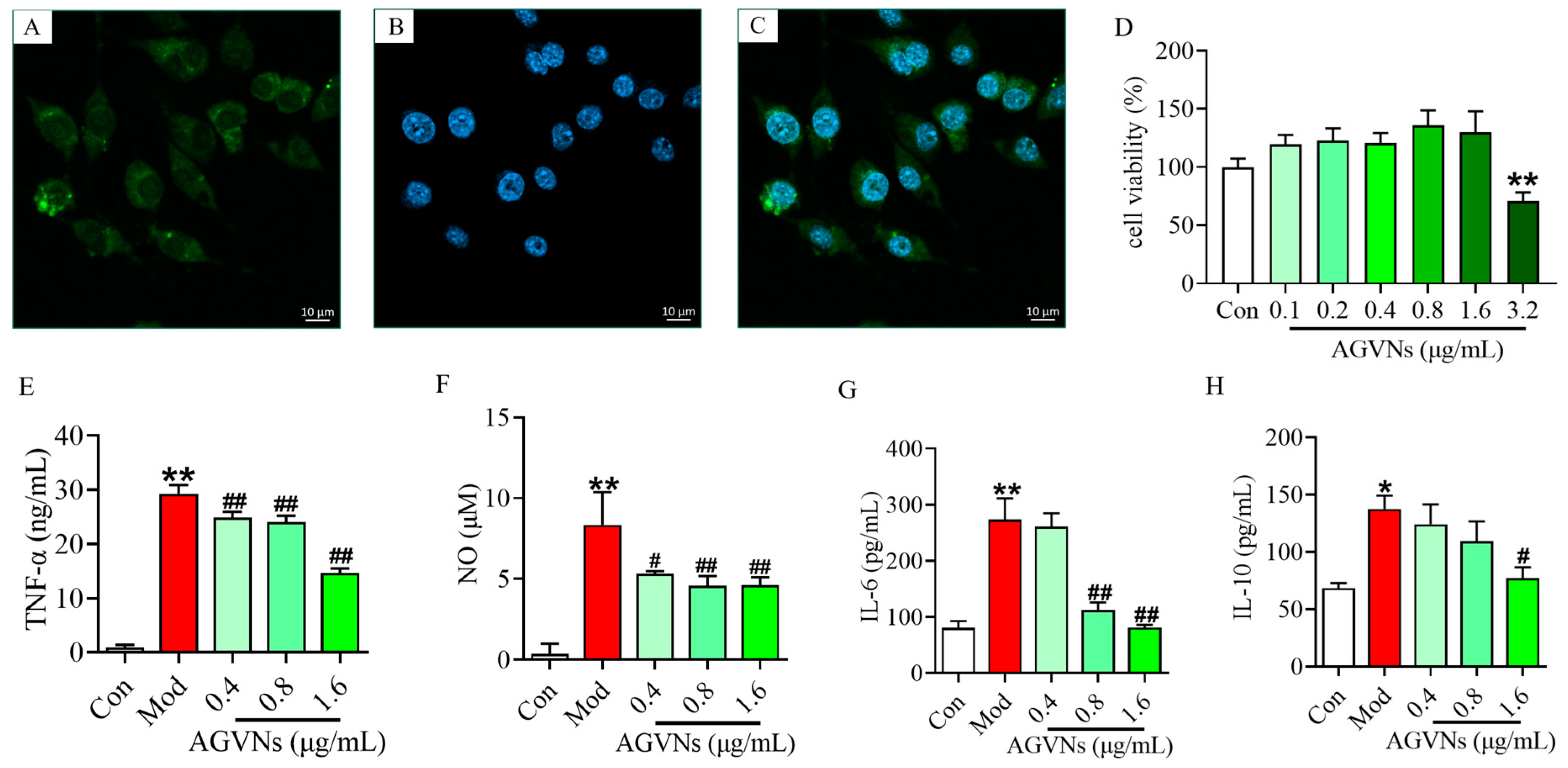 Molecules 29 03443 g008