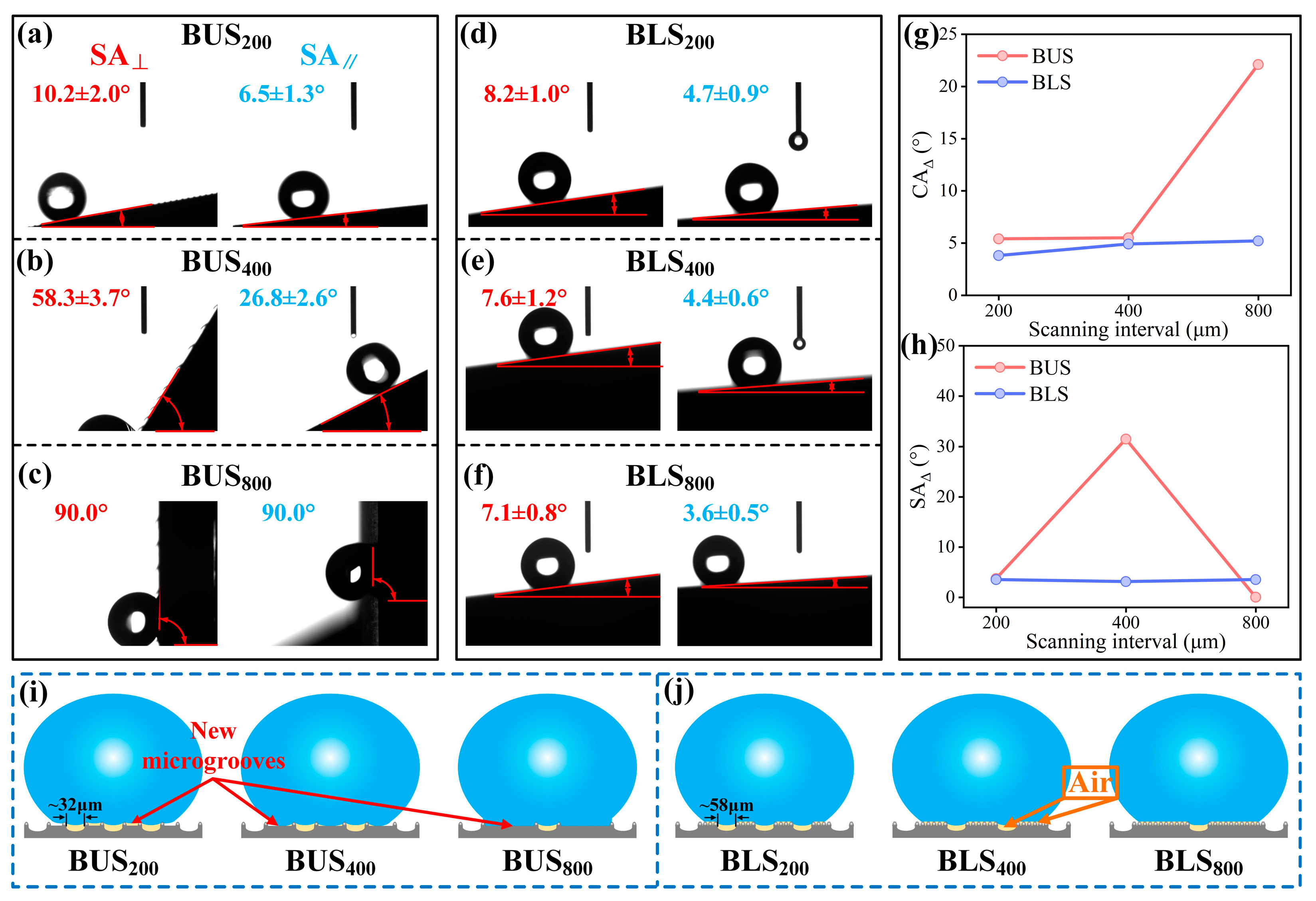 Molecules 29 03449 g008