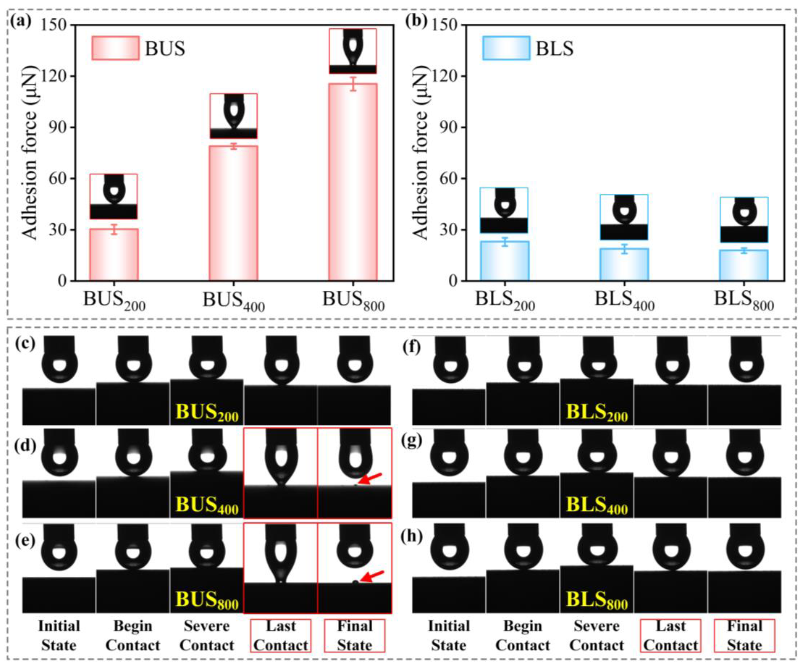 Molecules 29 03449 g009