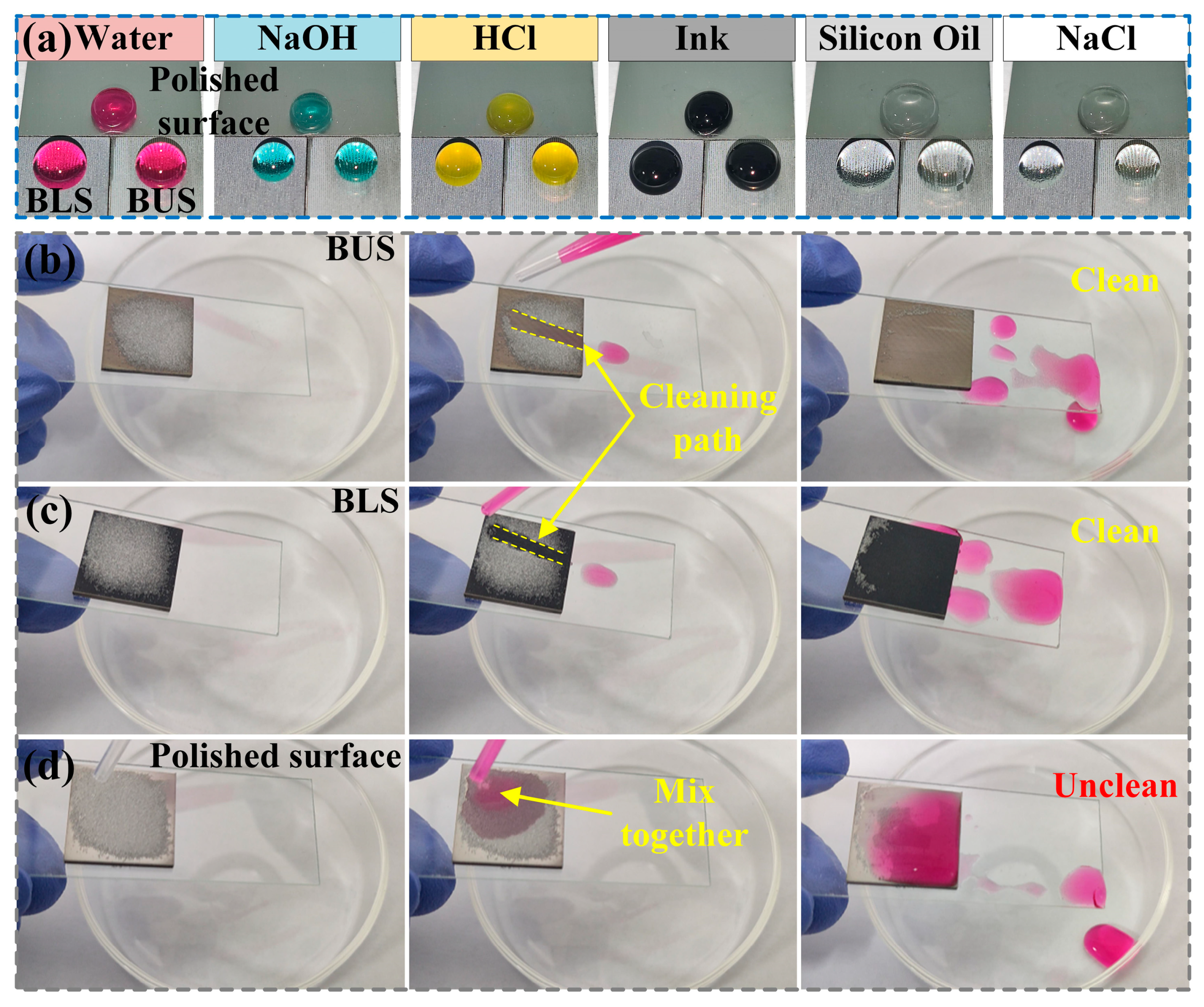 Molecules 29 03449 g010