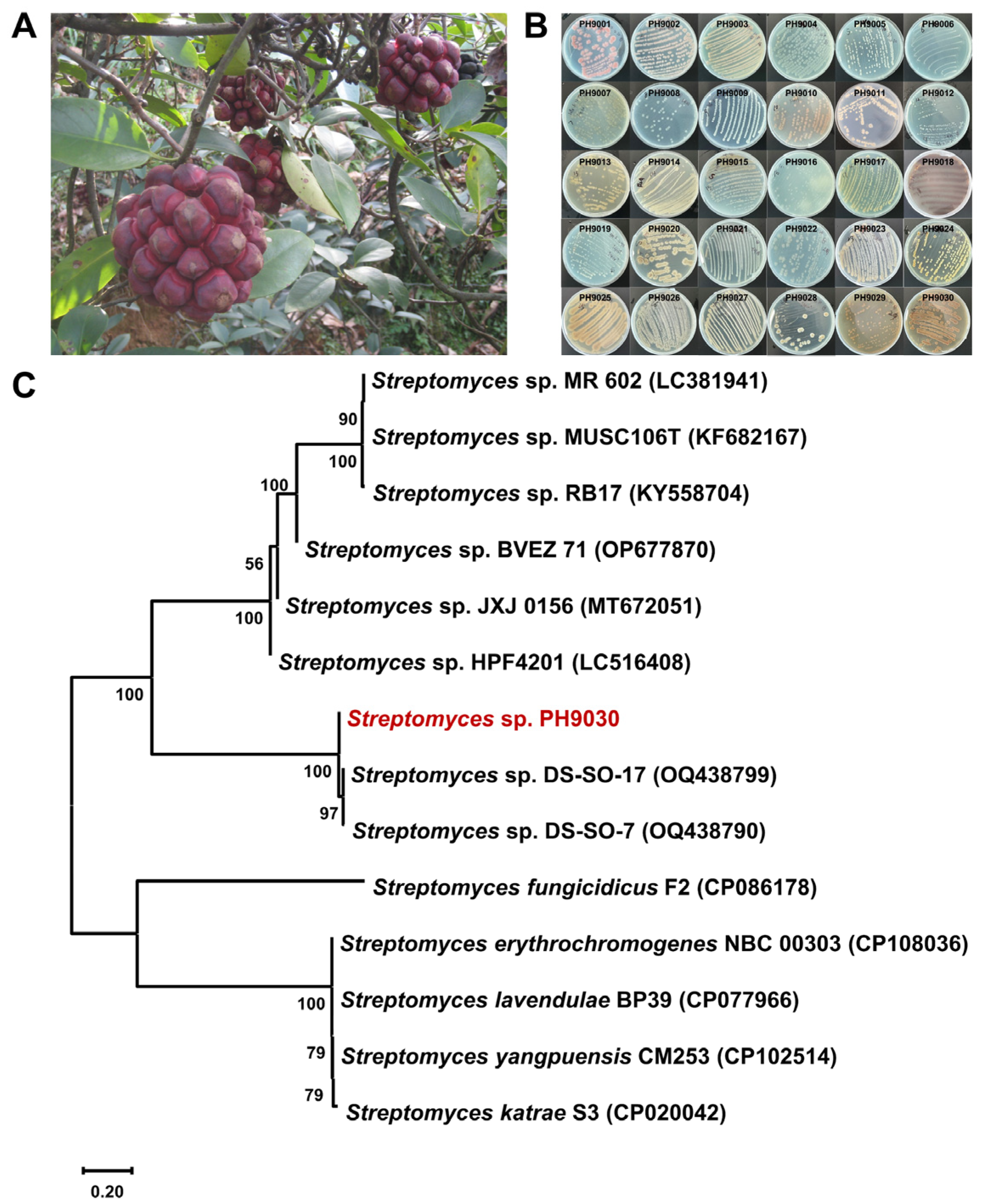 Molecules 29 03450 g002