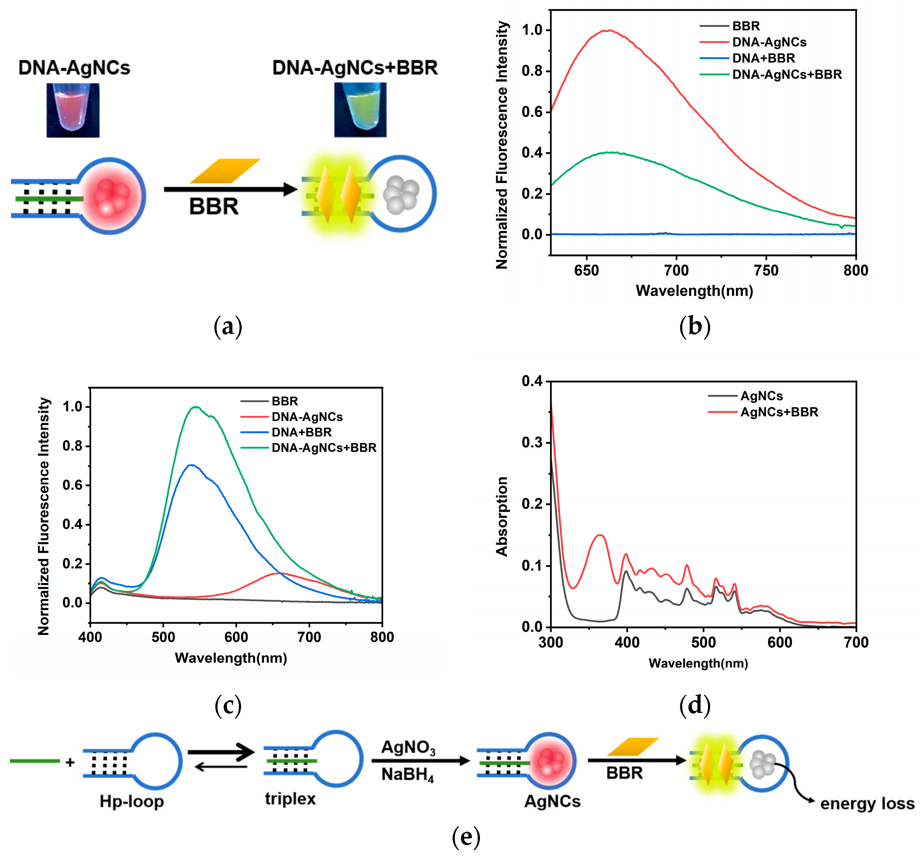 Molecules 29 03459 g004