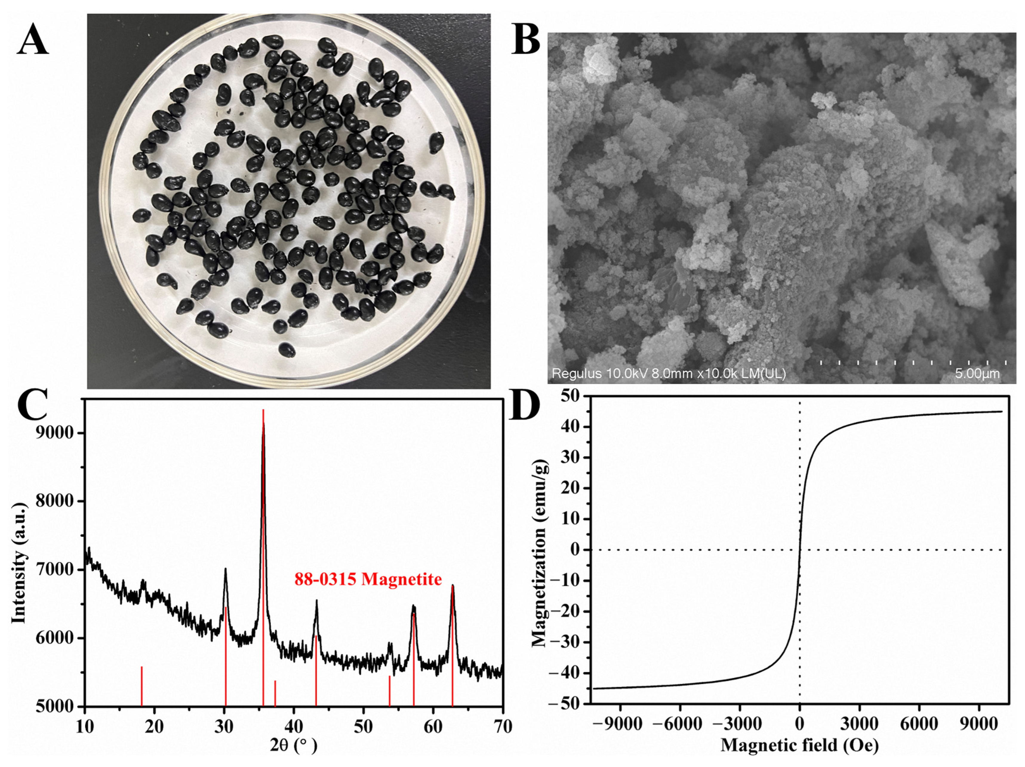 Molecules 29 03469 g002