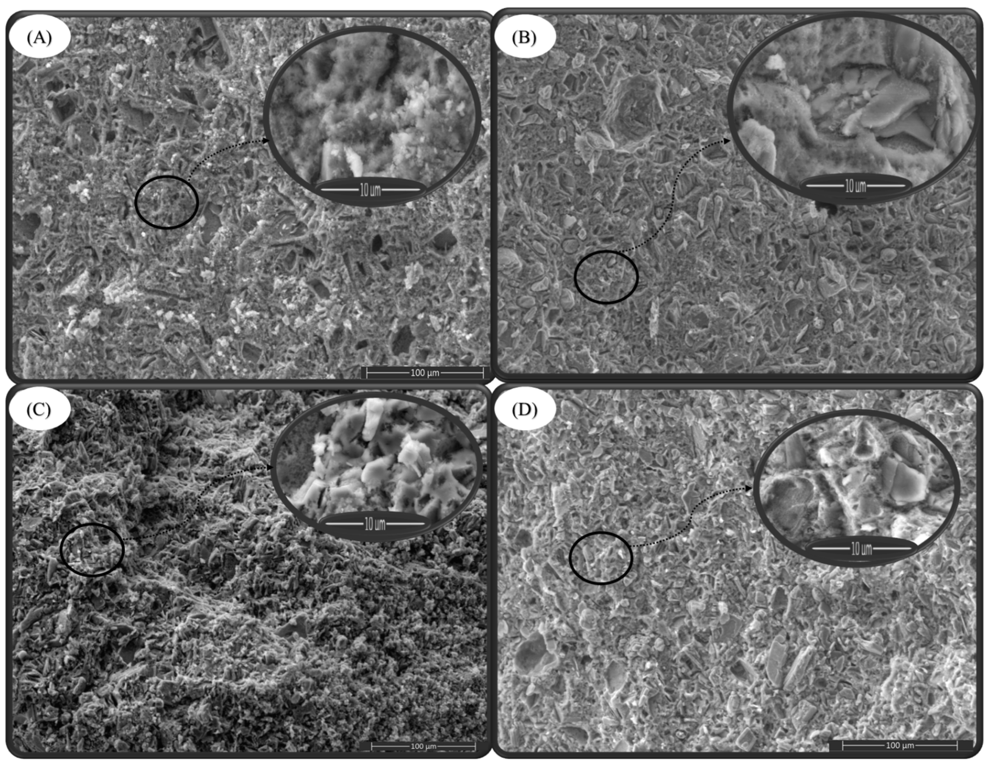 Molecules 29 03483 g008