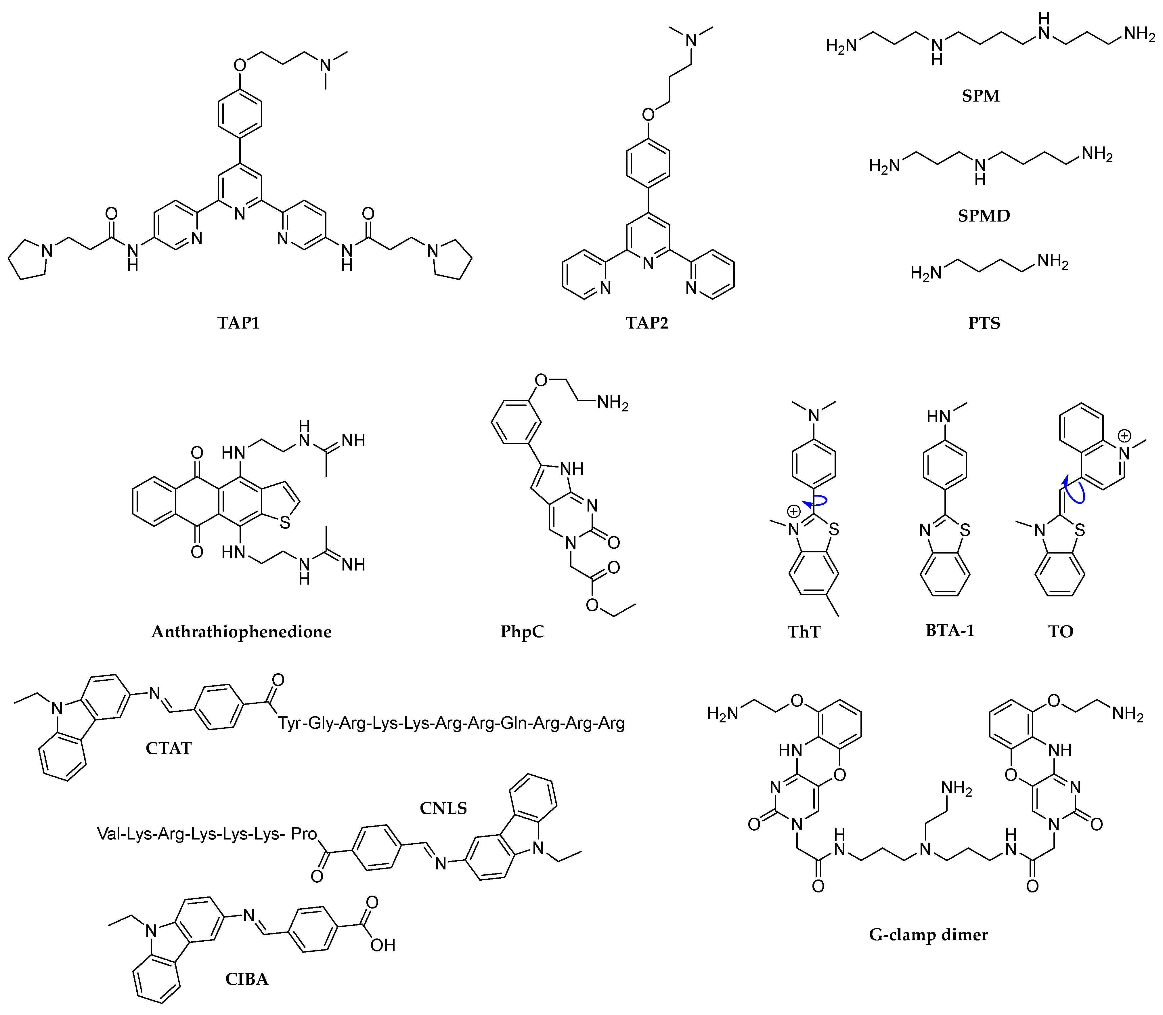 Molecules 29 03488 g004