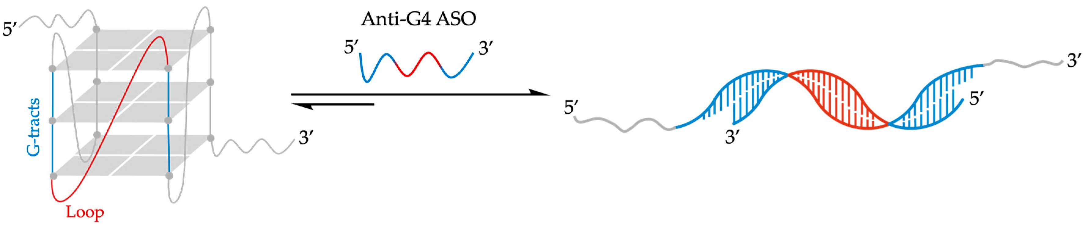 Molecules 29 03488 g007