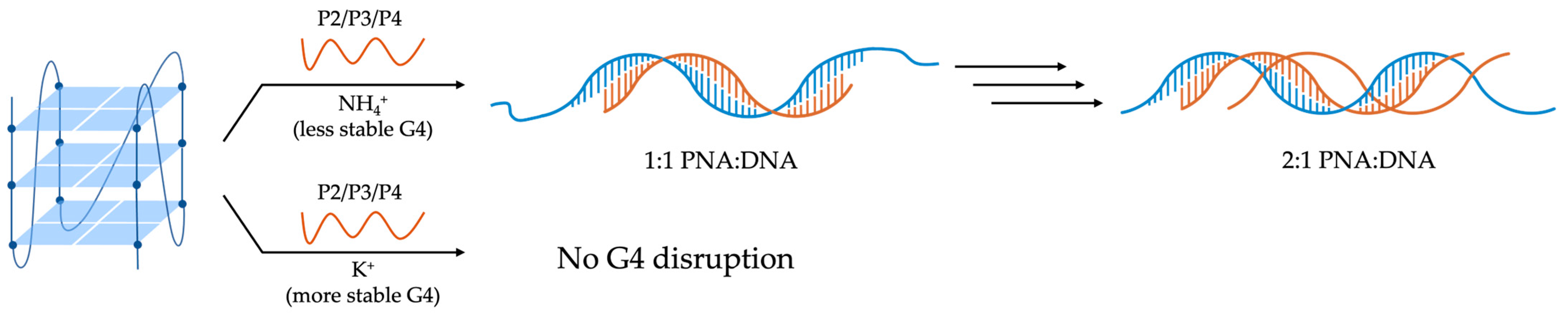 Molecules 29 03488 g011