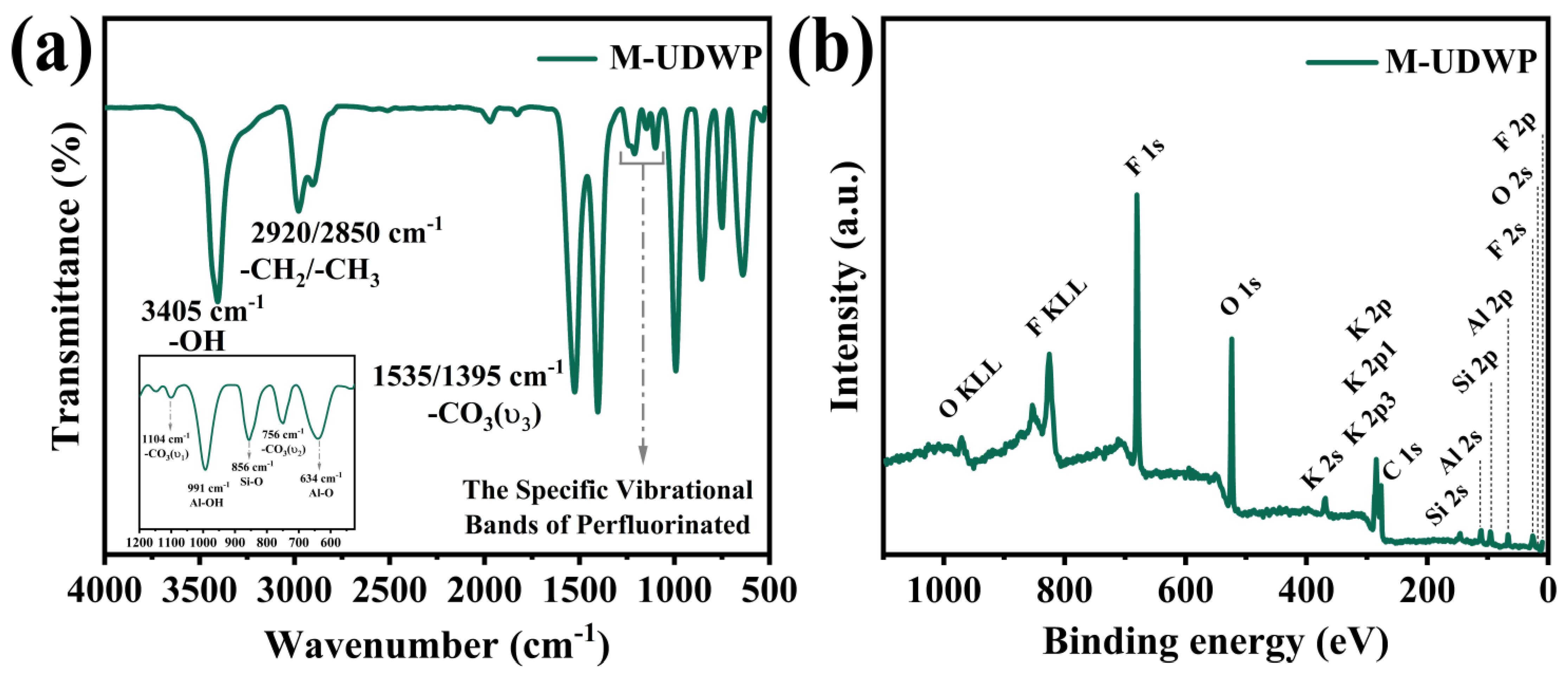 Molecules 29 03500 g004