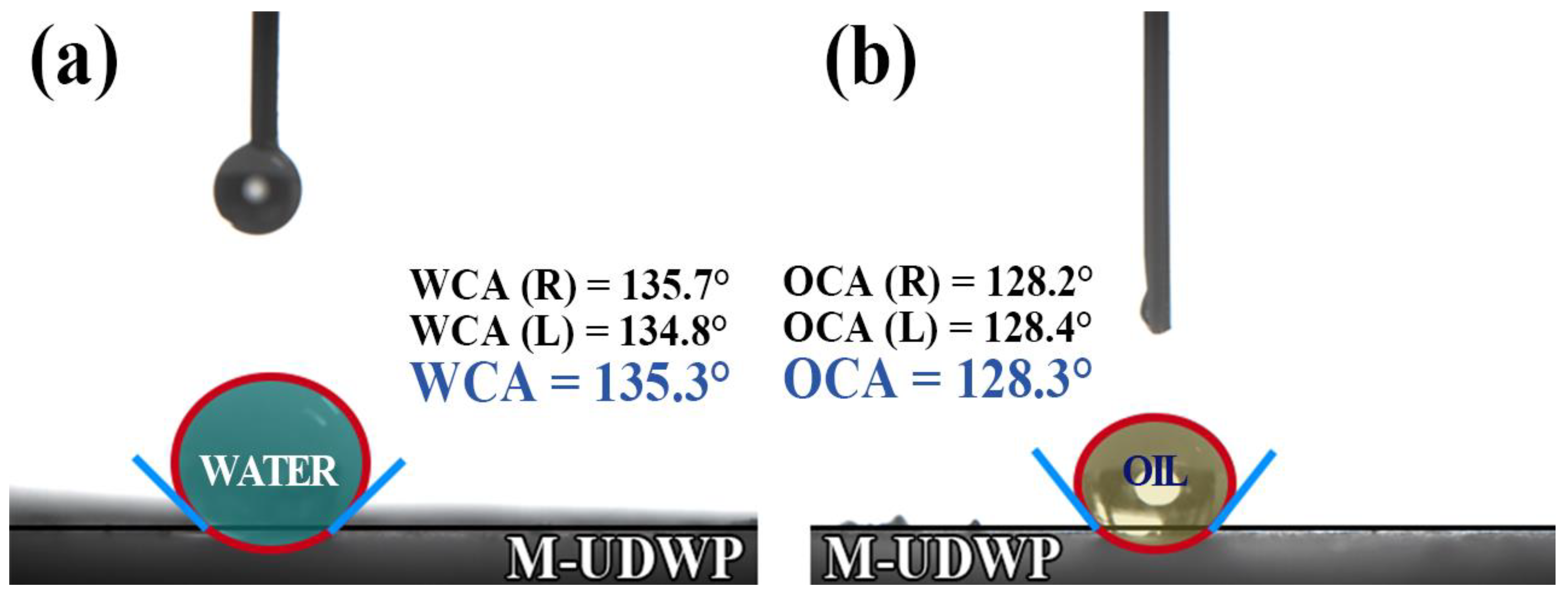 Molecules 29 03500 g005