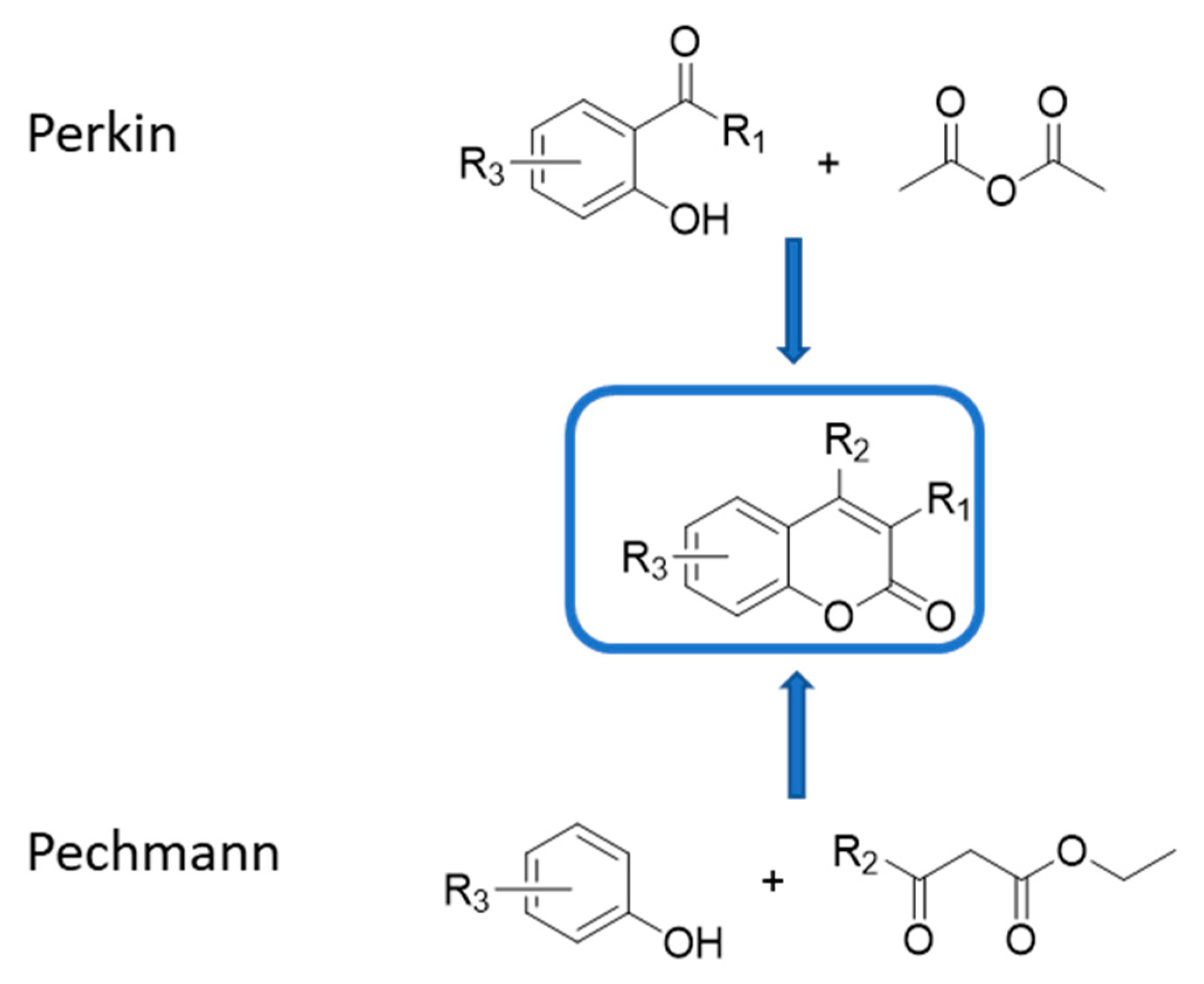 Molecules 29 03514 g008