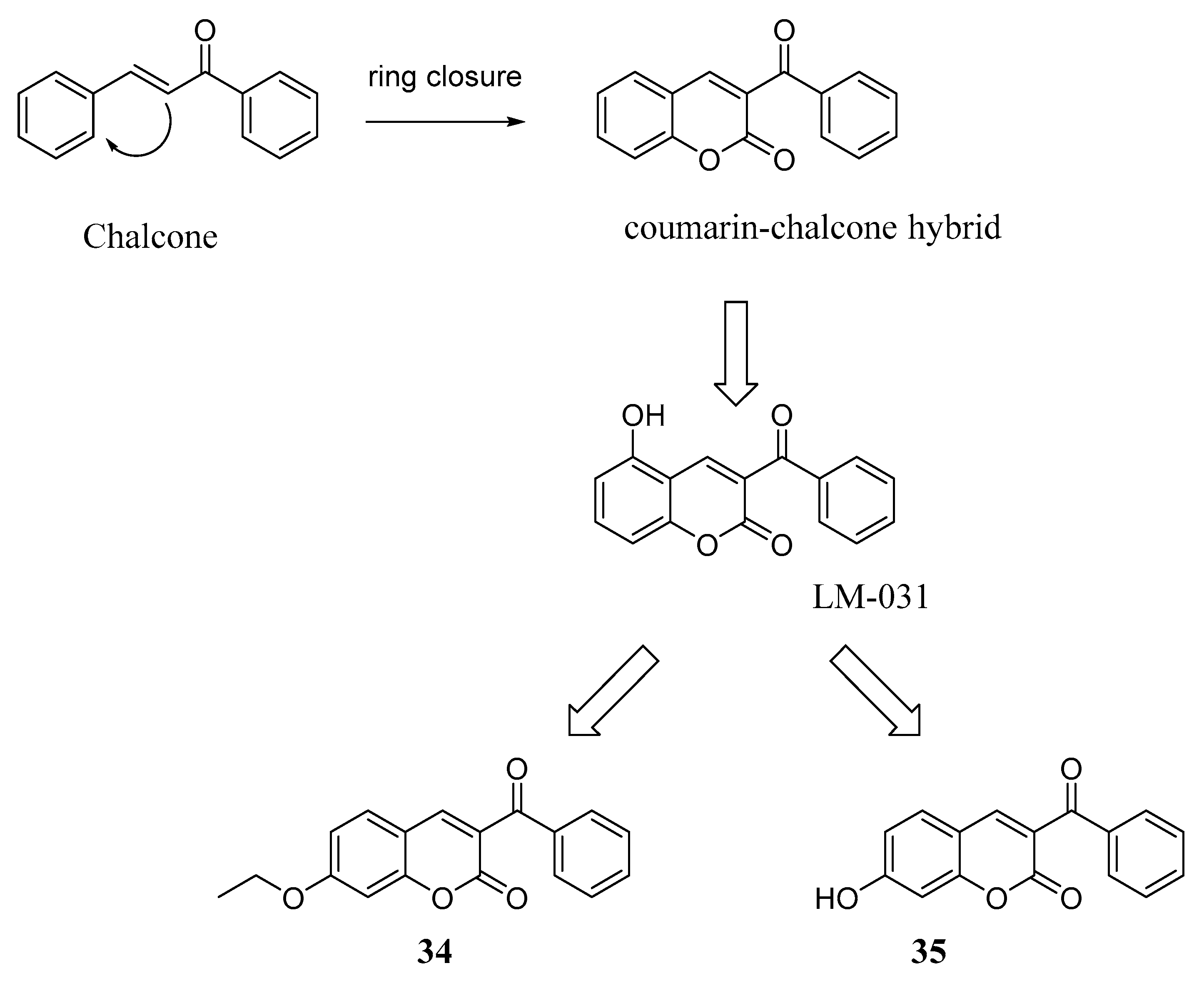 Molecules 29 03514 g014