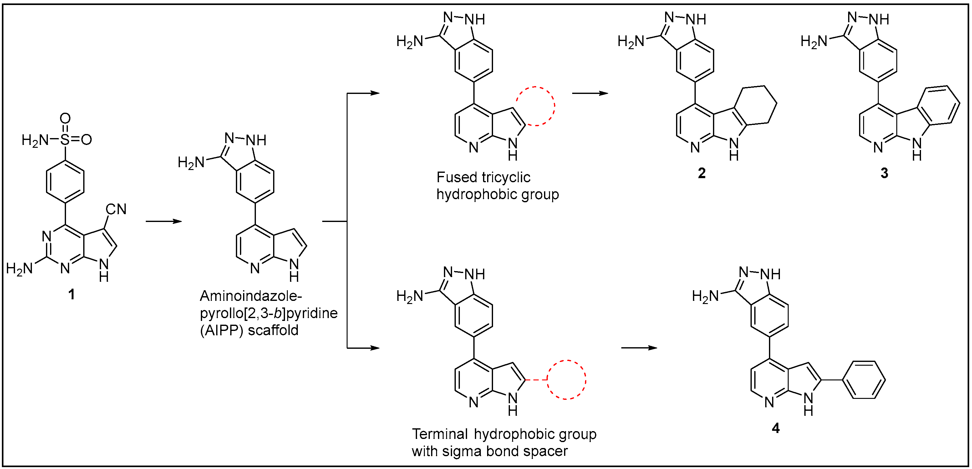 Molecules 29 03515 g003 Molecules 29 03515 g003