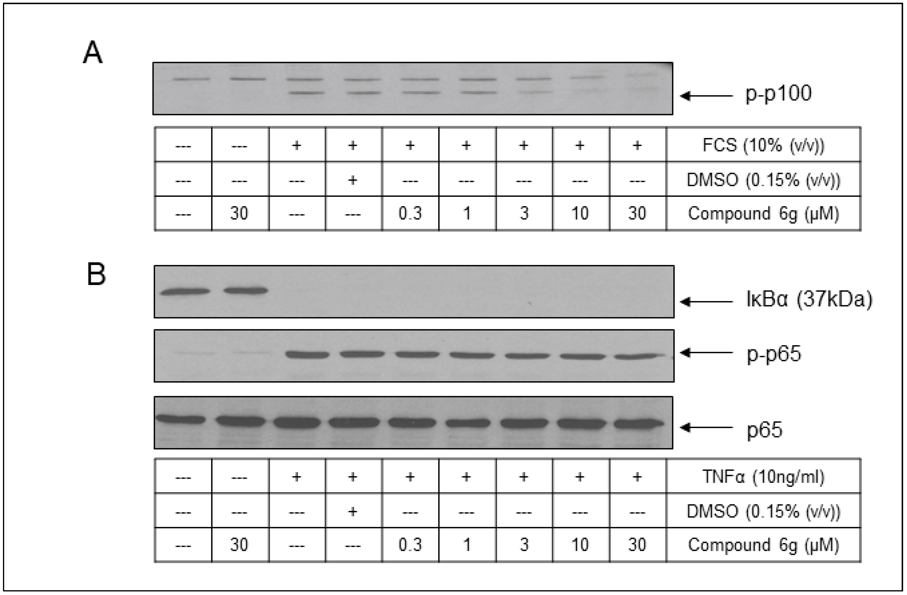 Molecules 29 03515 g012 Molecules 29 03515 g012