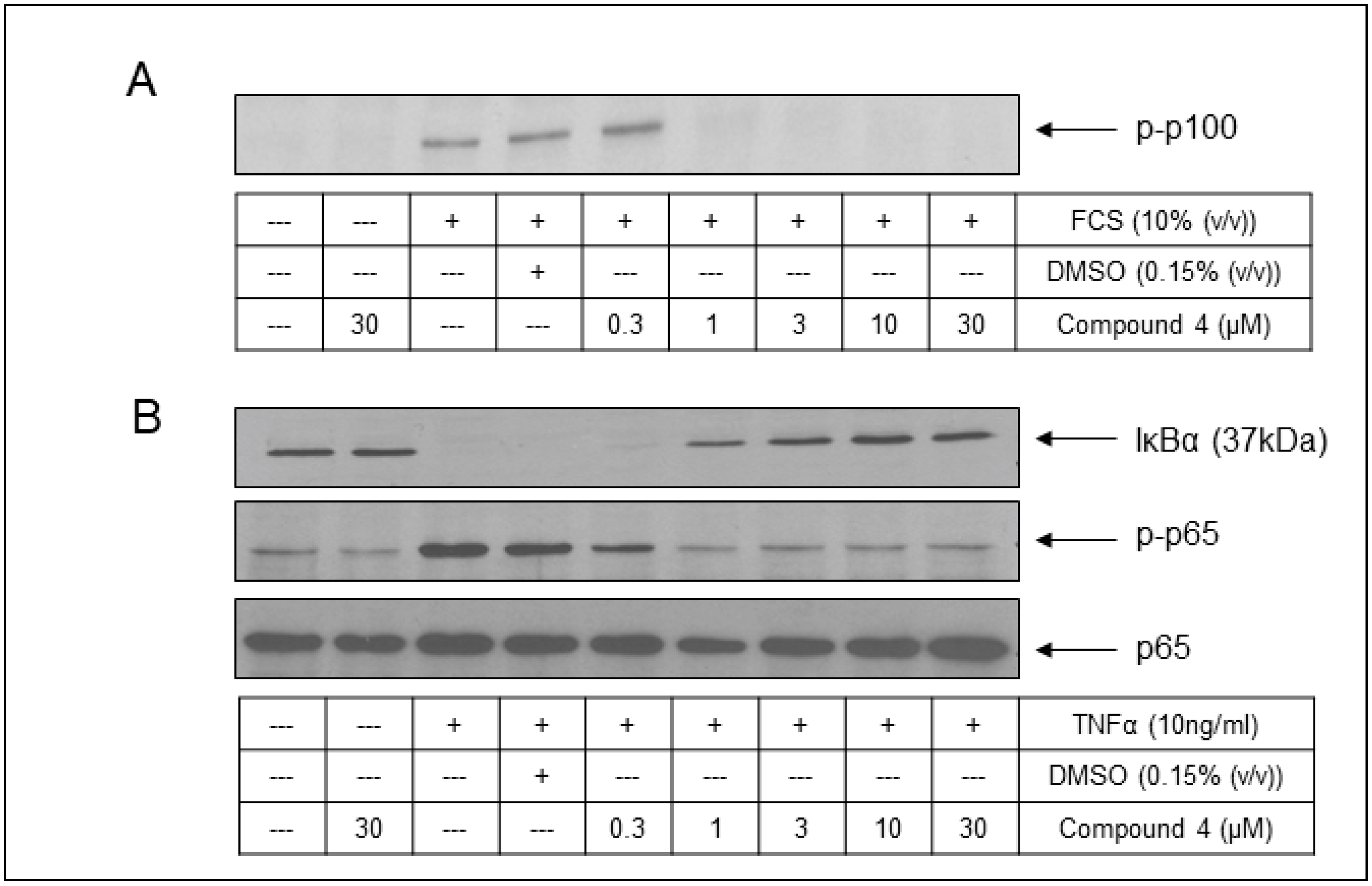 Molecules 29 03515 g013 Molecules 29 03515 g013