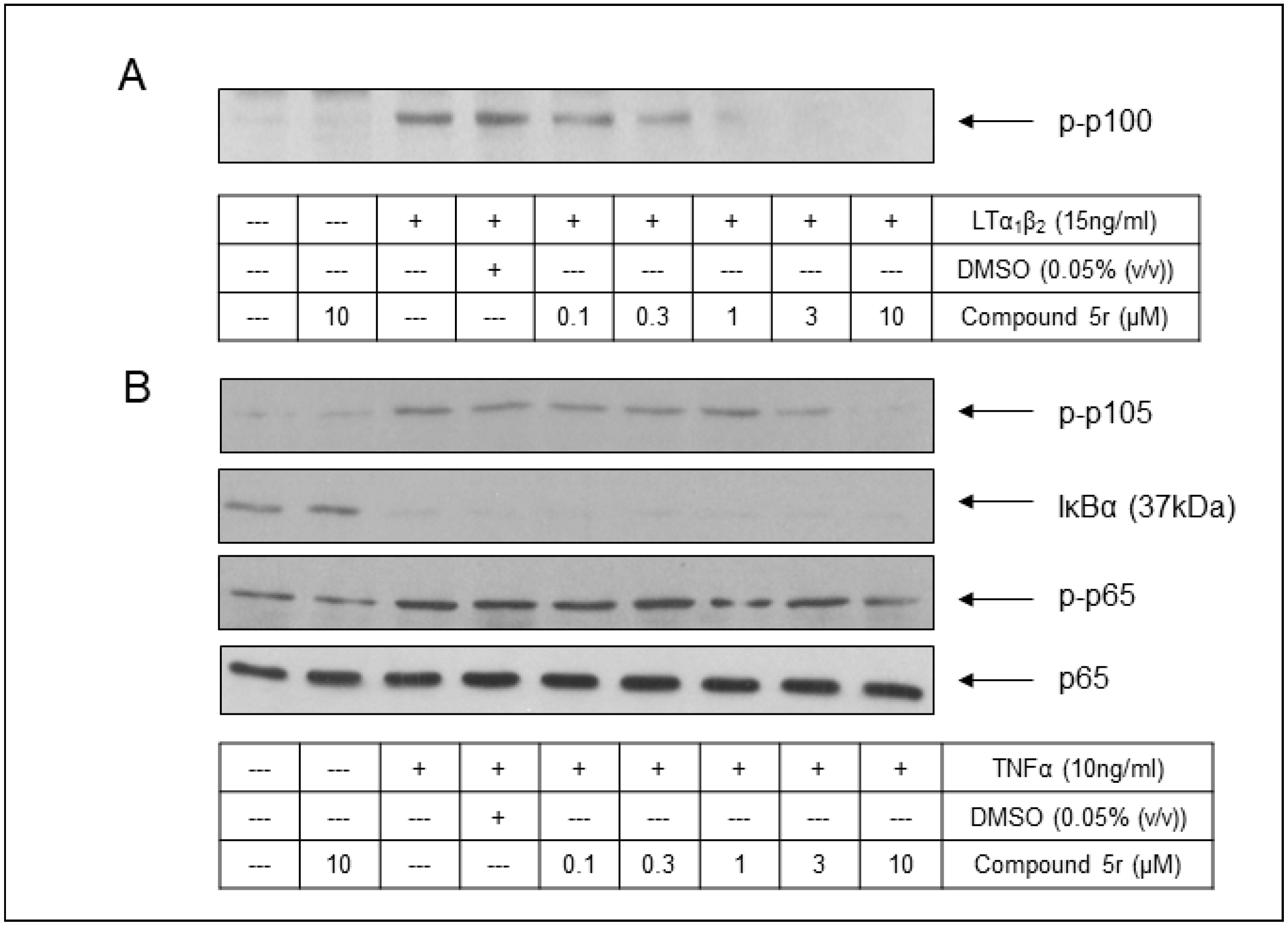 Molecules 29 03515 g014 Molecules 29 03515 g014