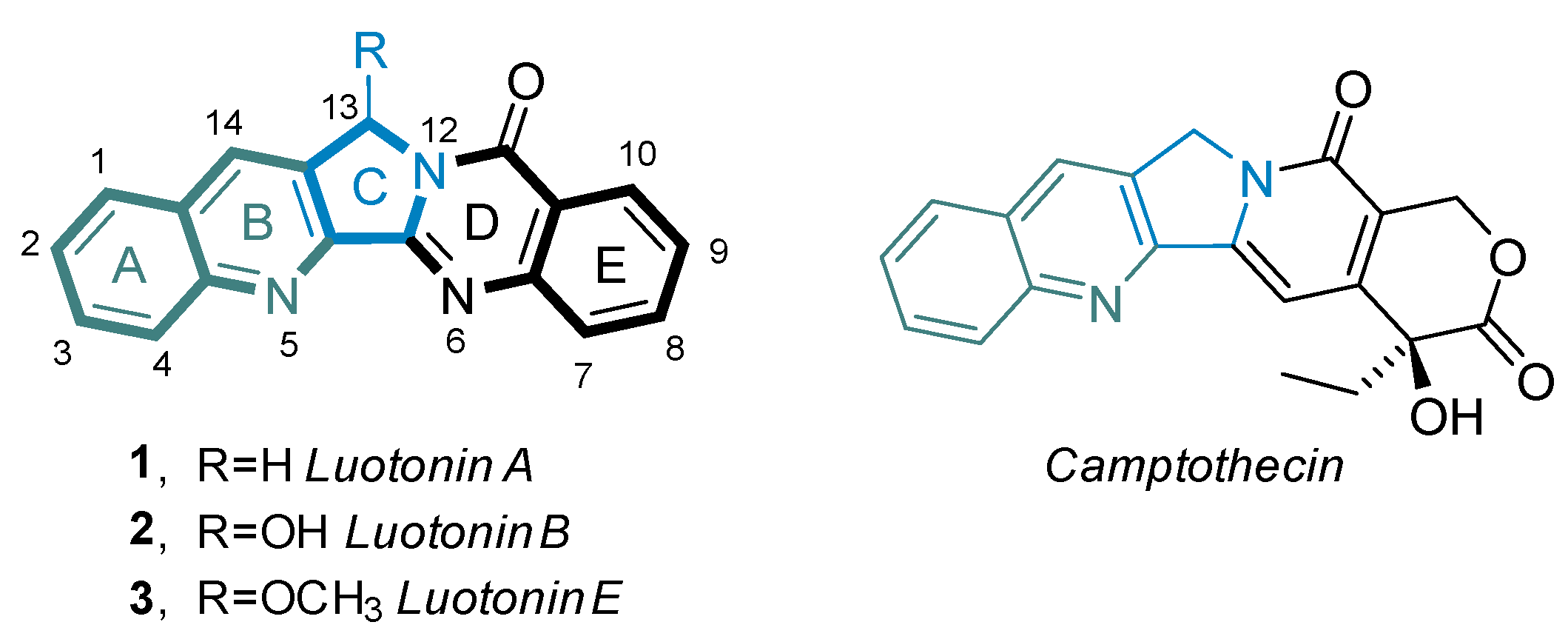 Molecules 29 03522 g001