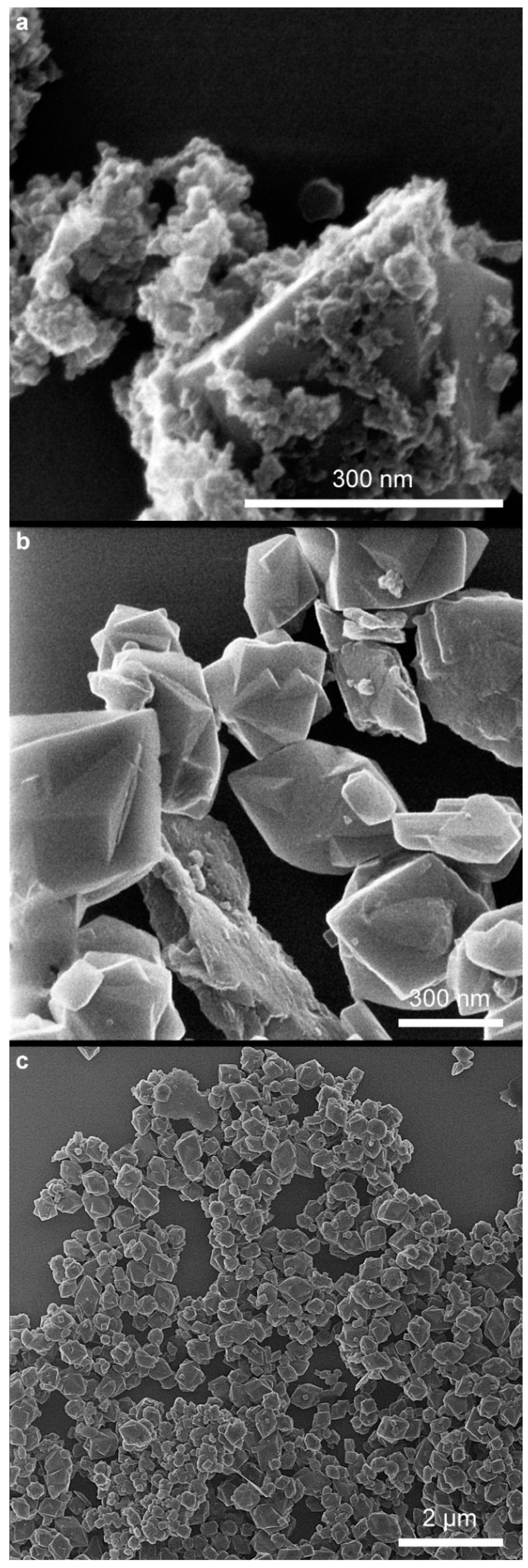 Molecules 29 03527 g008