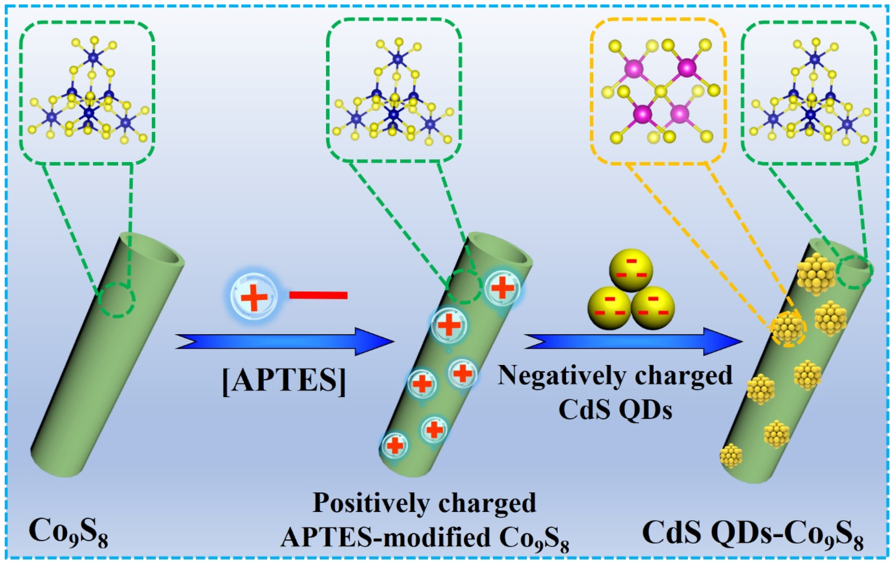 Molecules 29 03530 g001