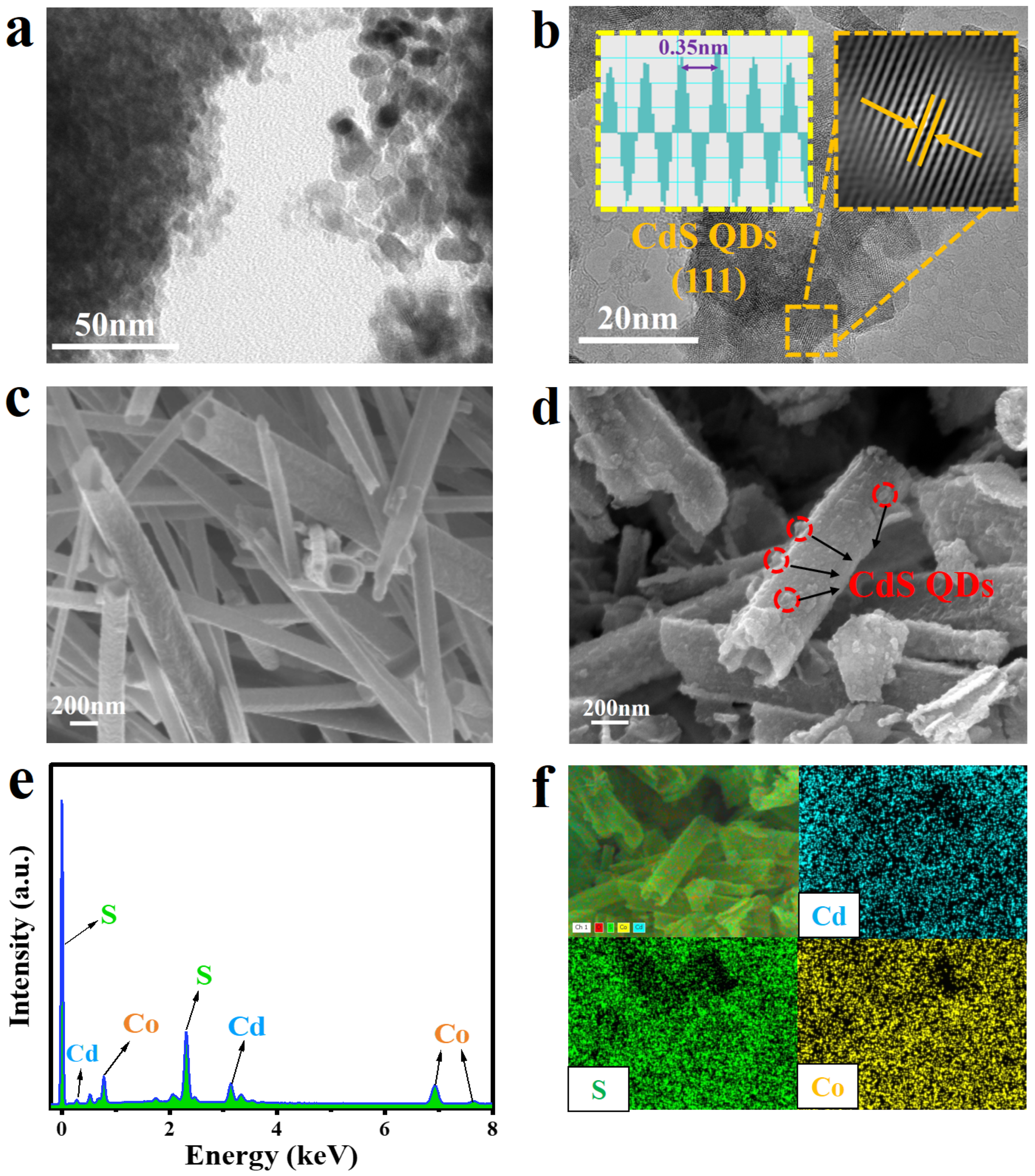 Molecules 29 03530 g003