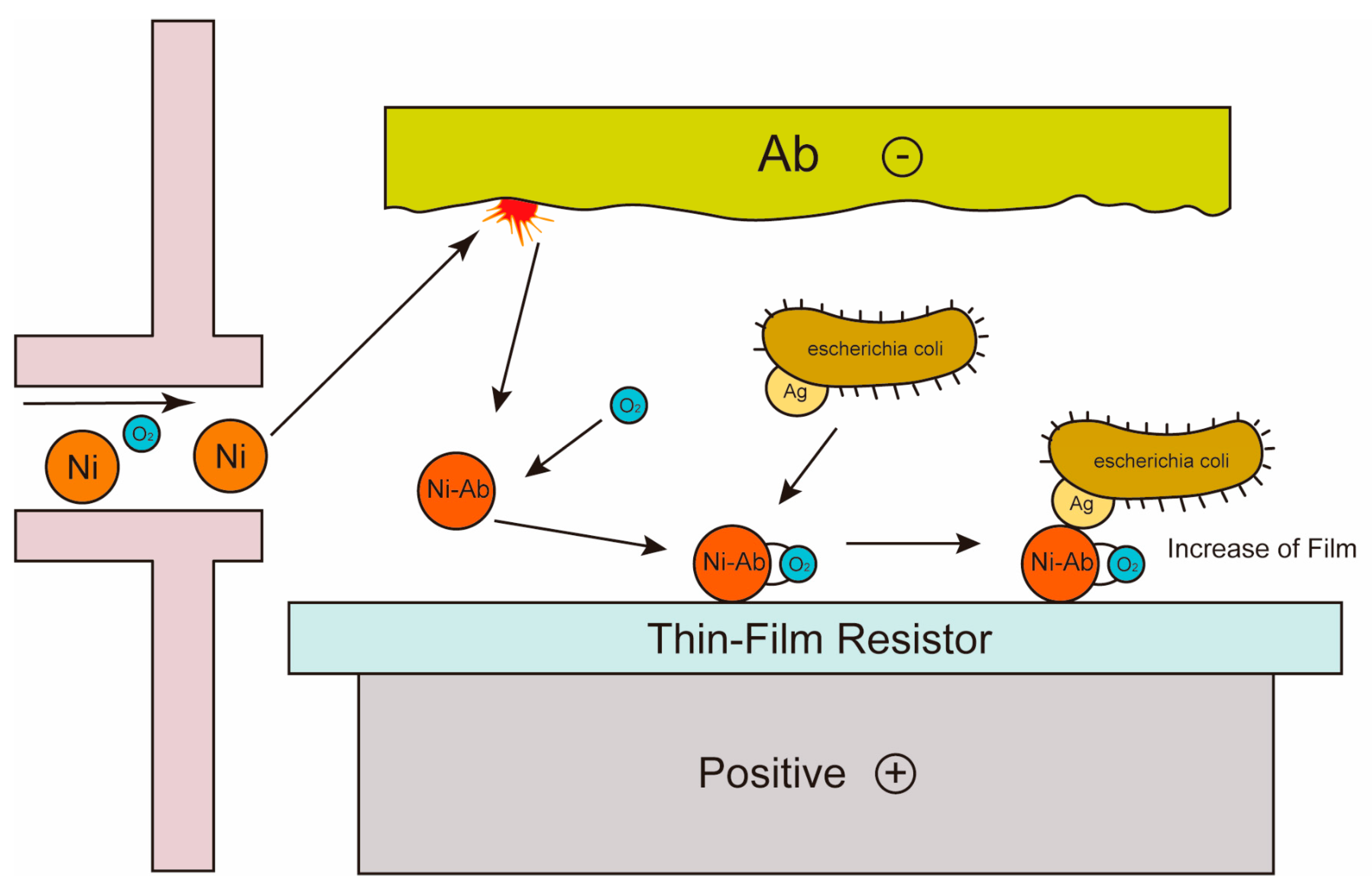 Molecules 29 03534 g001