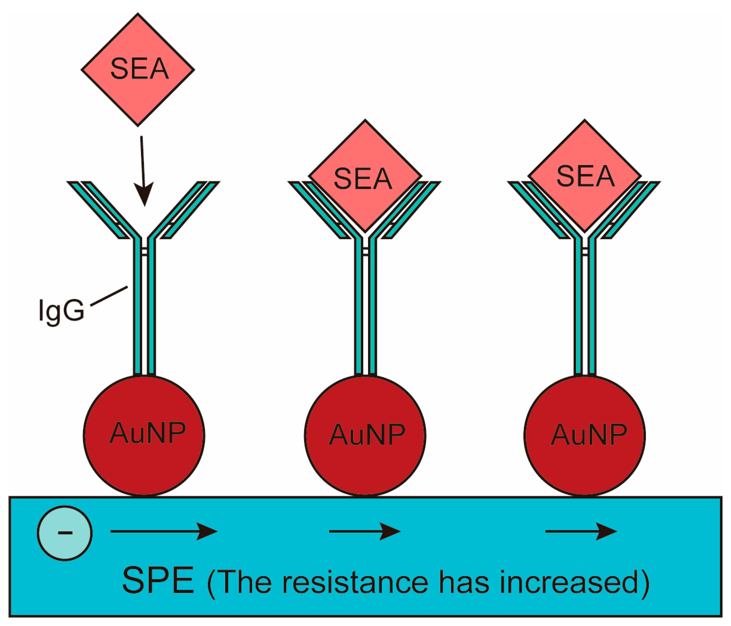 Molecules 29 03534 g002