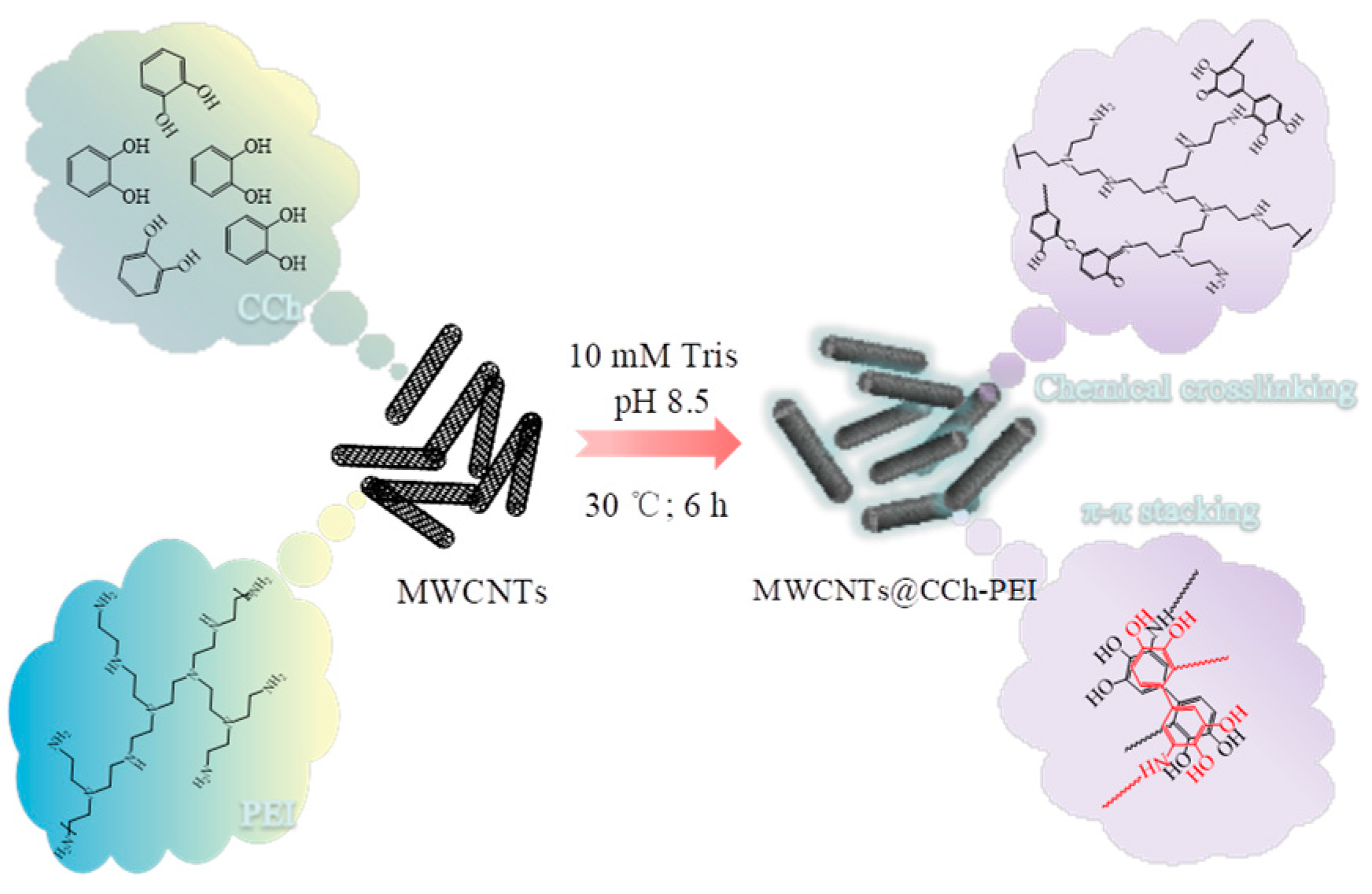 Molecules 29 03535 g012