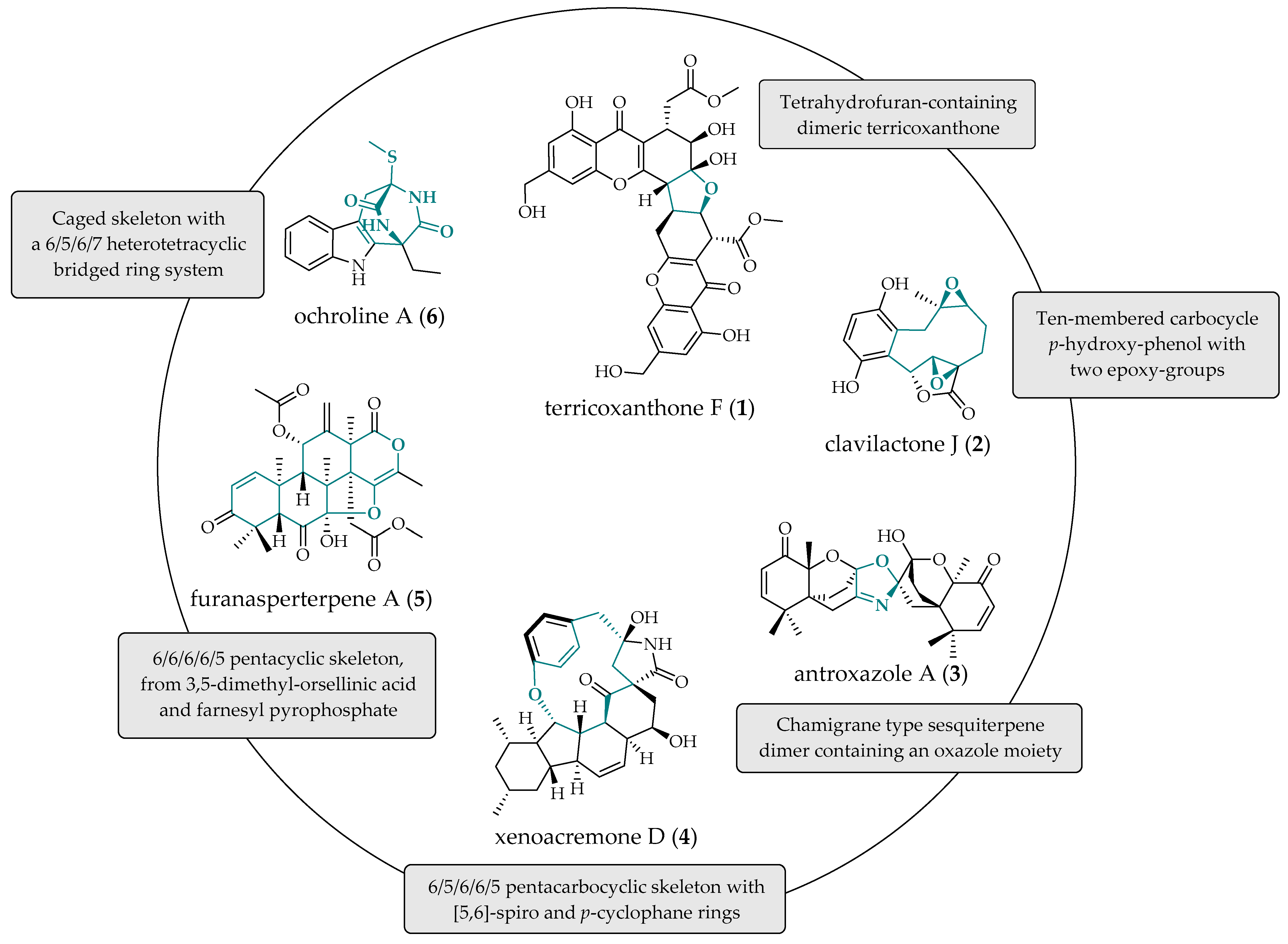 Molecules 29 03536 g001