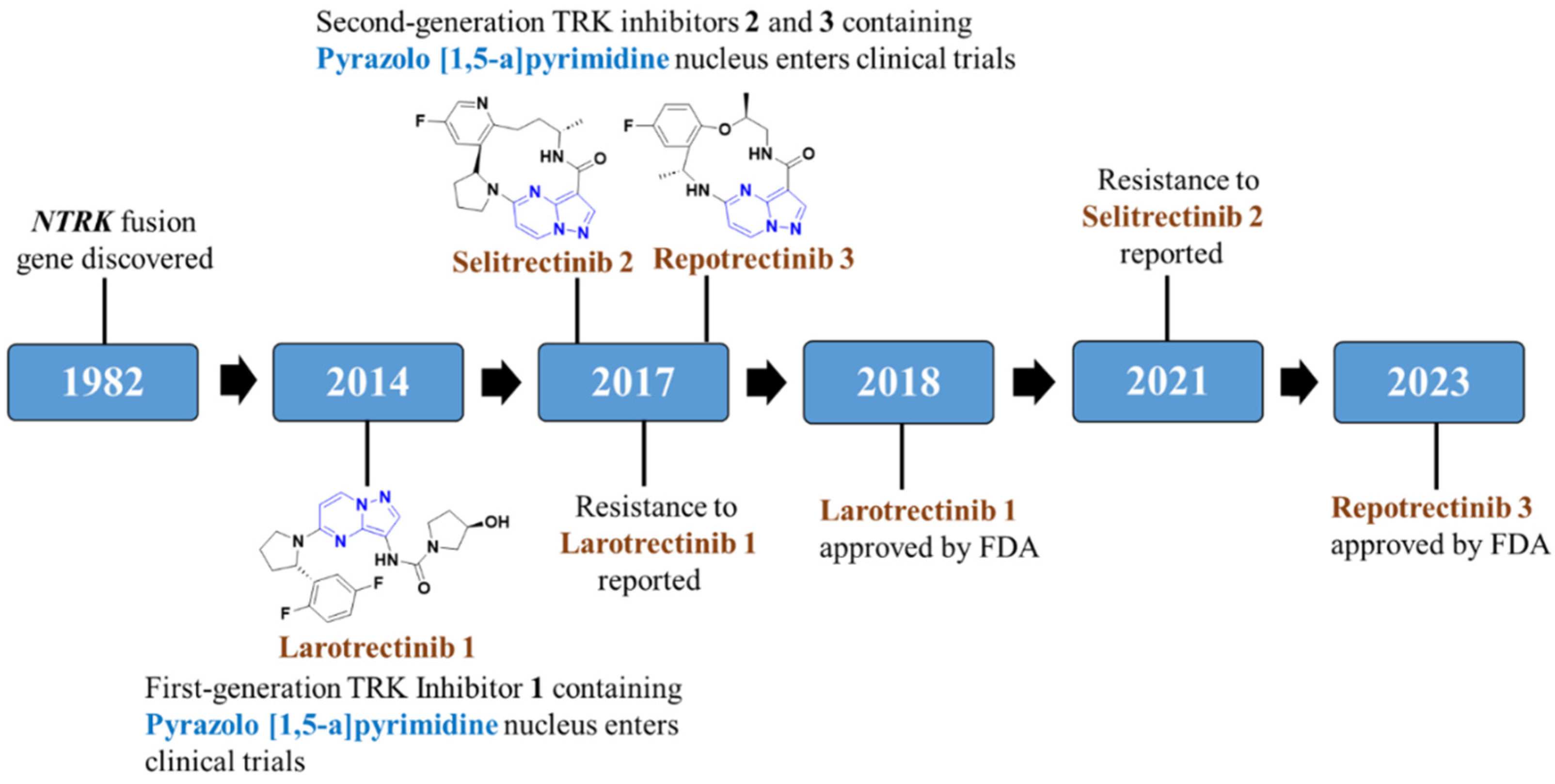 Molecules 29 03560 g002