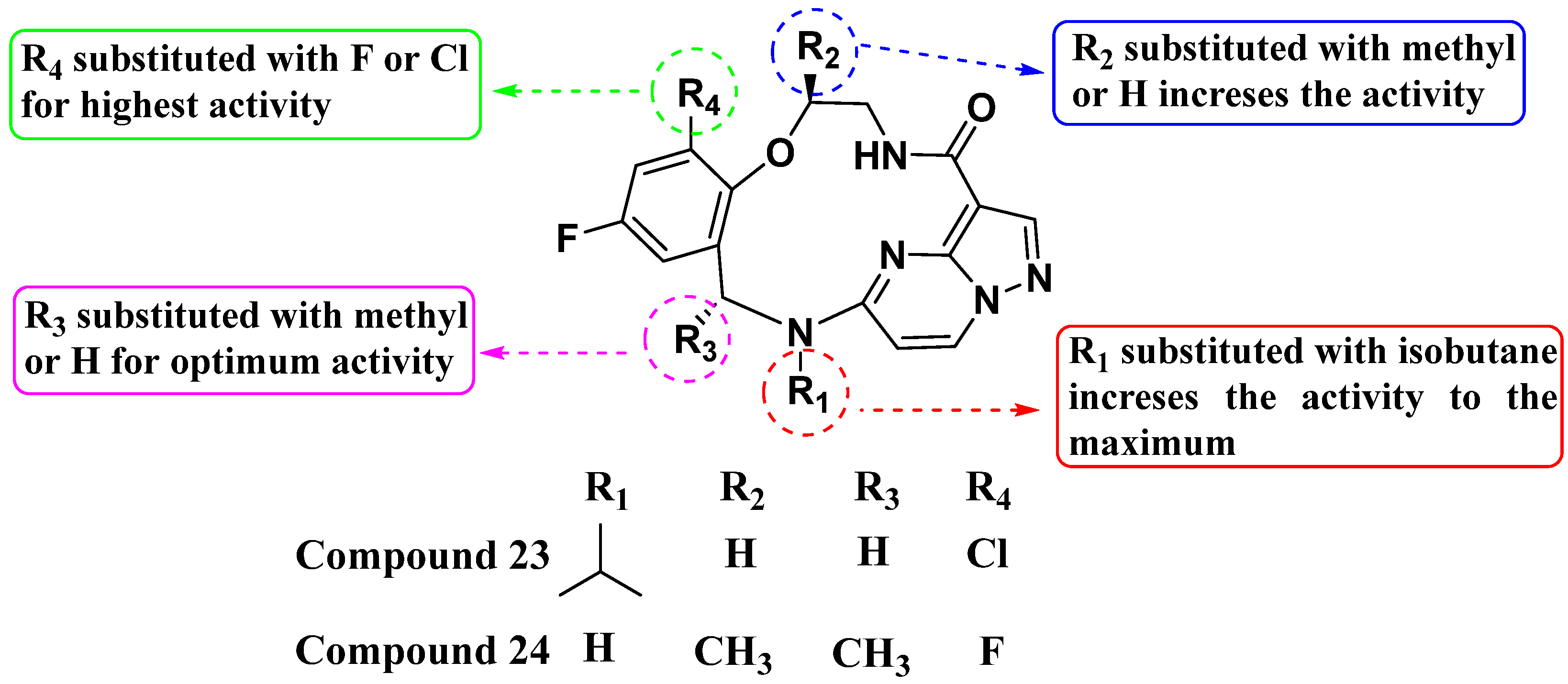 Molecules 29 03560 g013