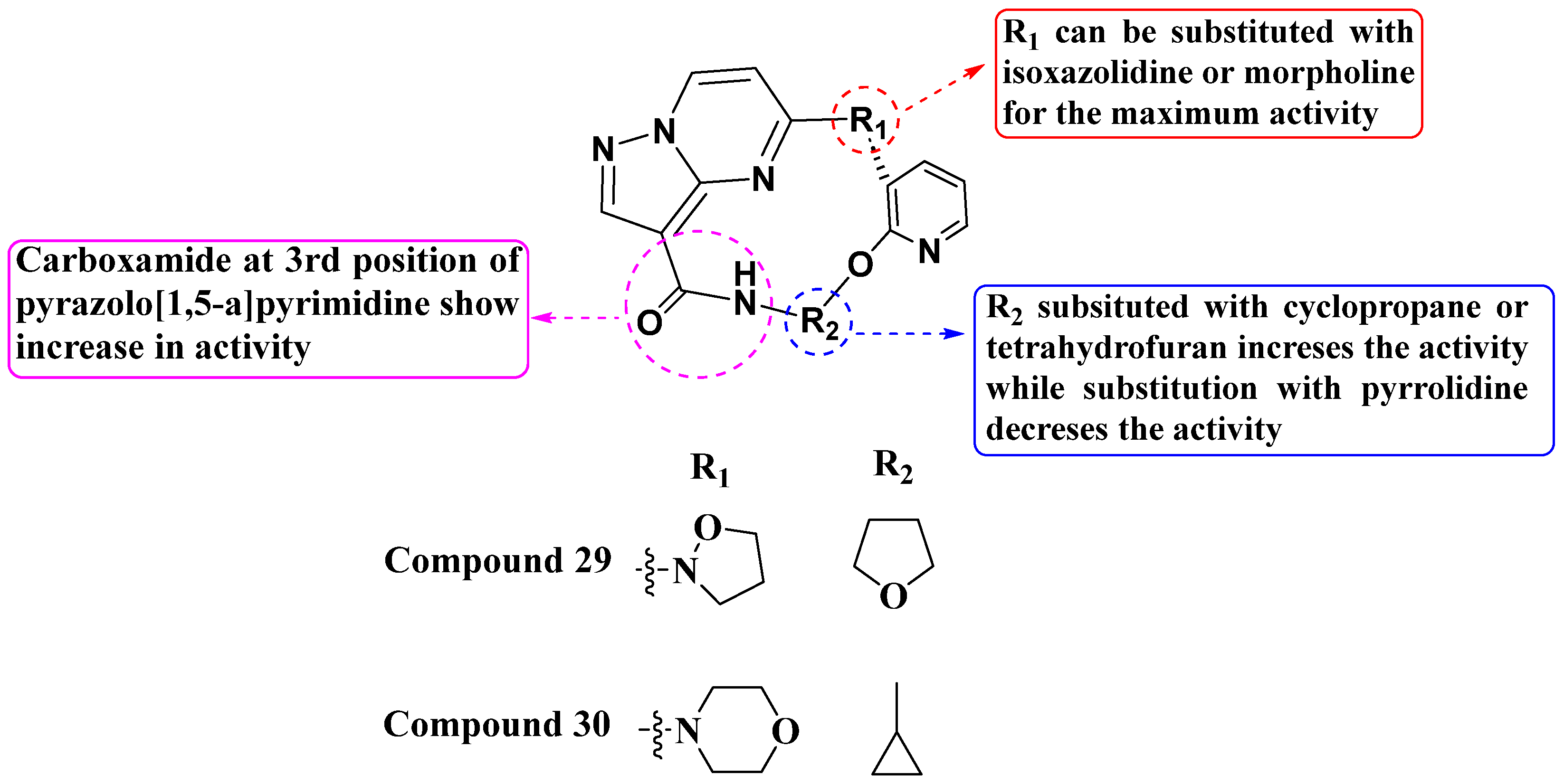 Molecules 29 03560 g016
