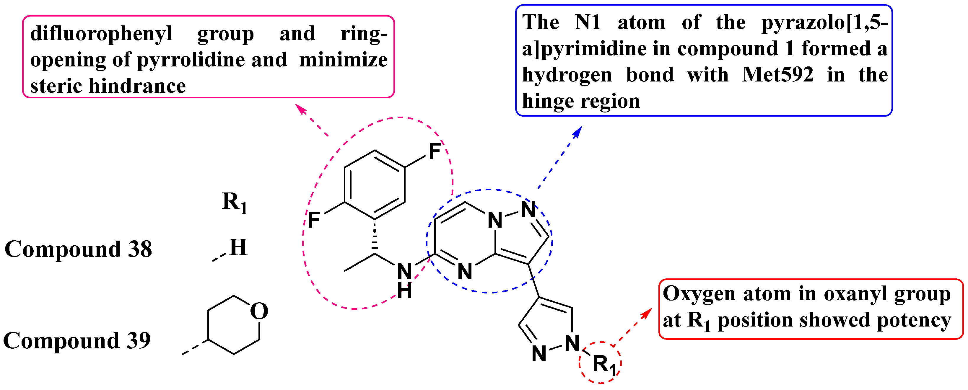 Molecules 29 03560 g020