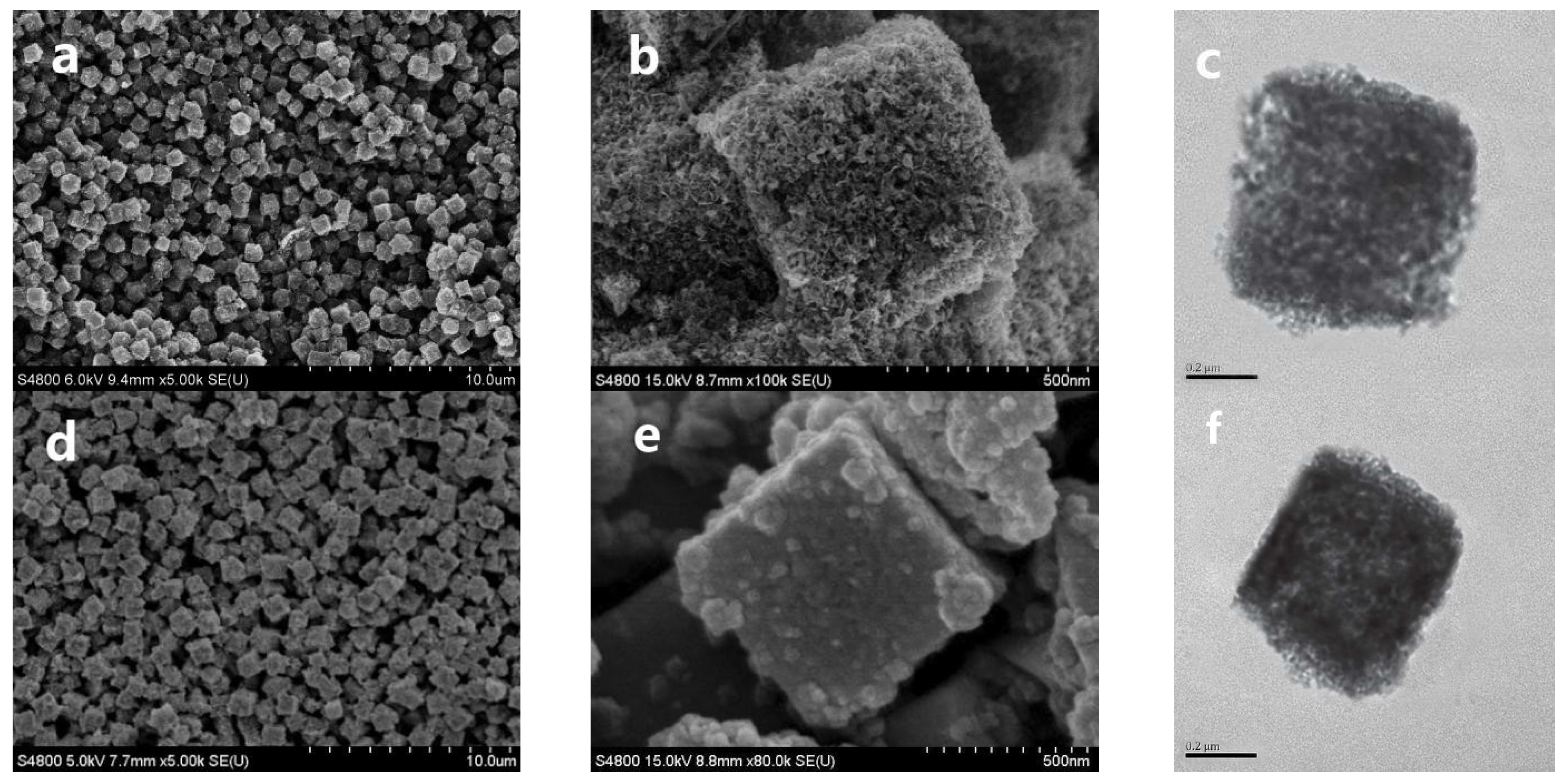 Molecules 29 03566 g001