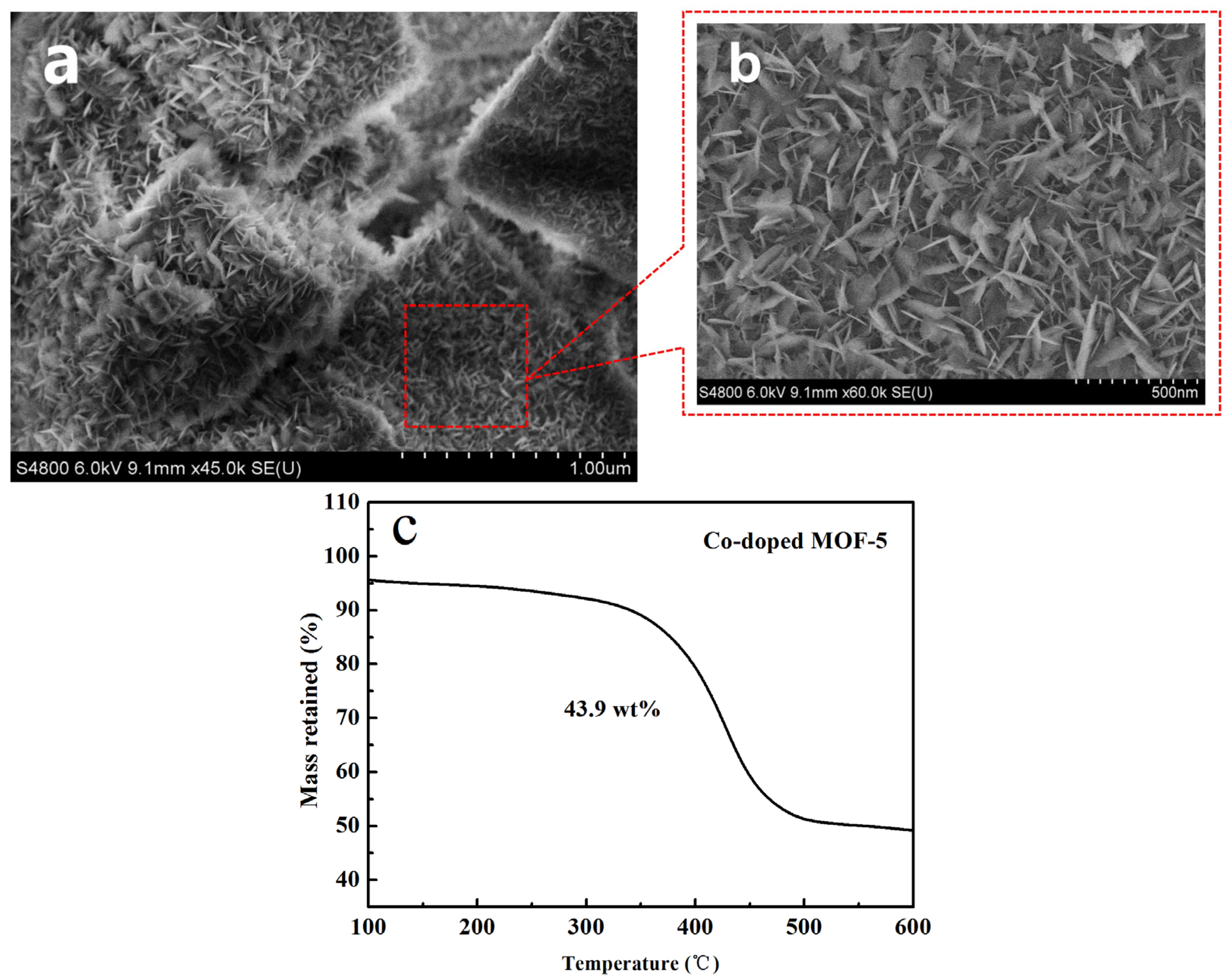 Molecules 29 03566 g008