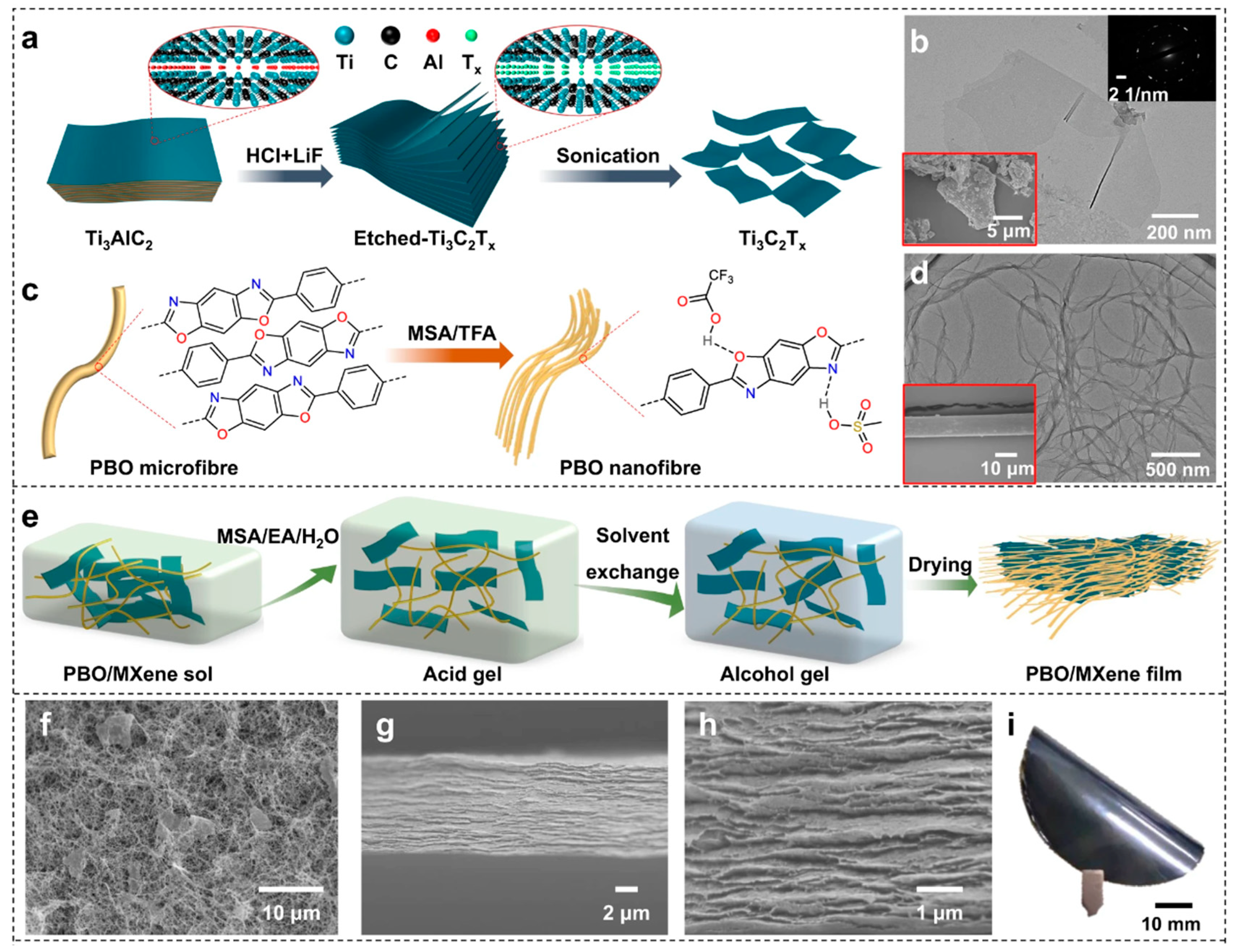 Molecules 29 03572 g006