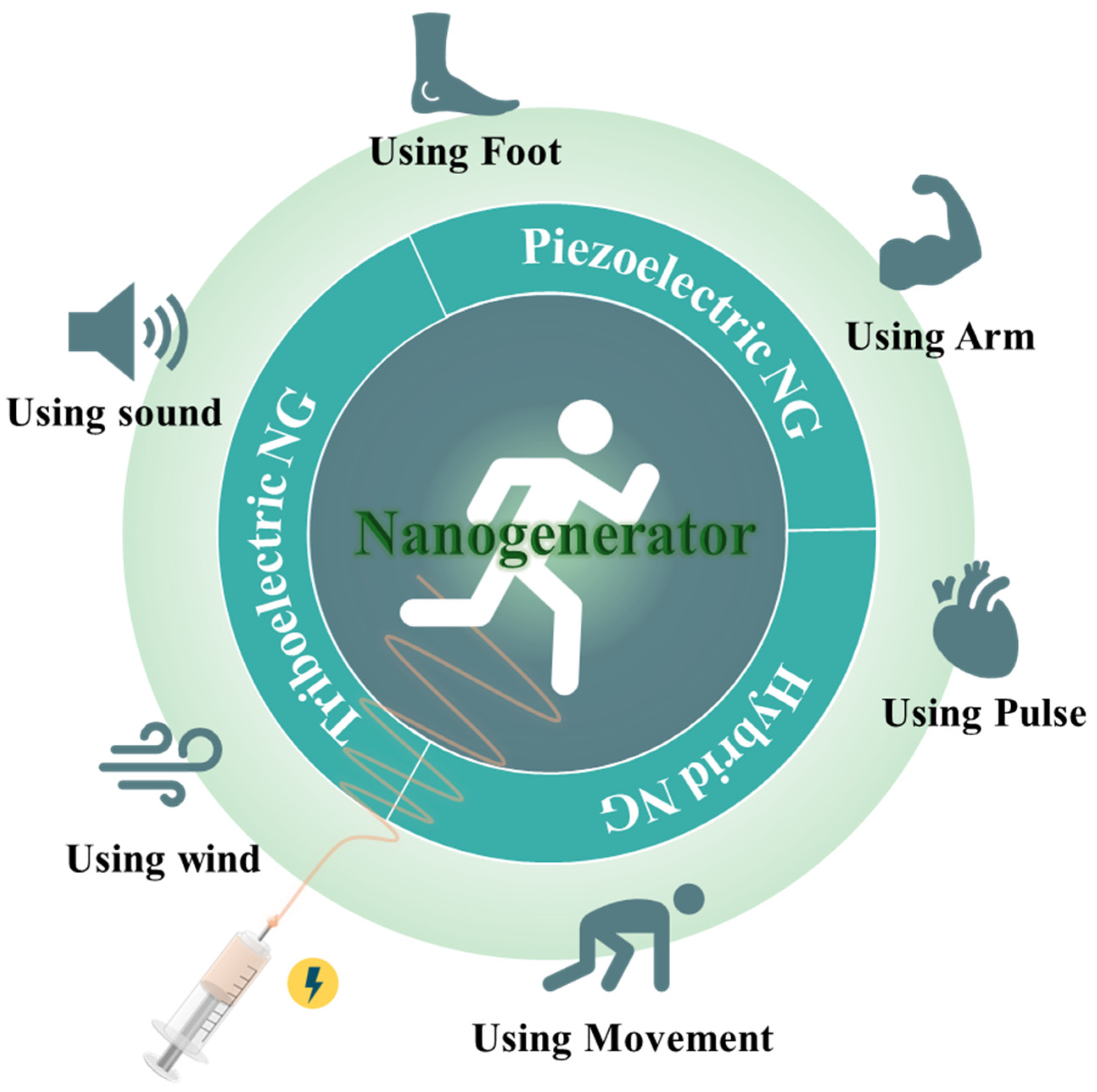 Molecules 29 03576 g001