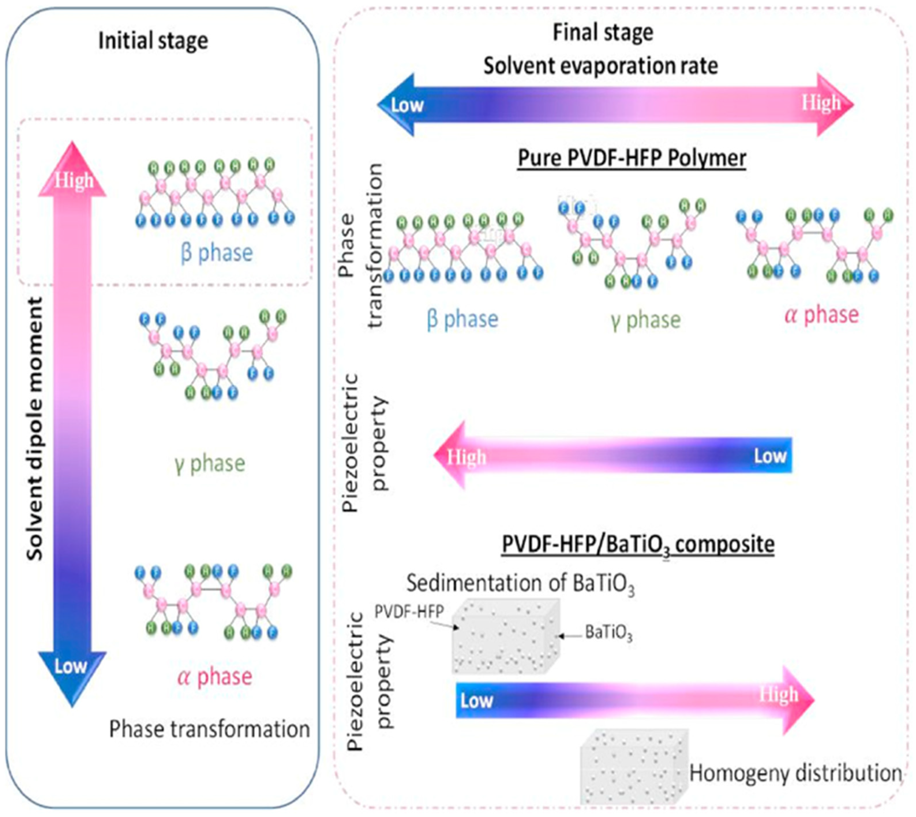 Molecules 29 03576 g008