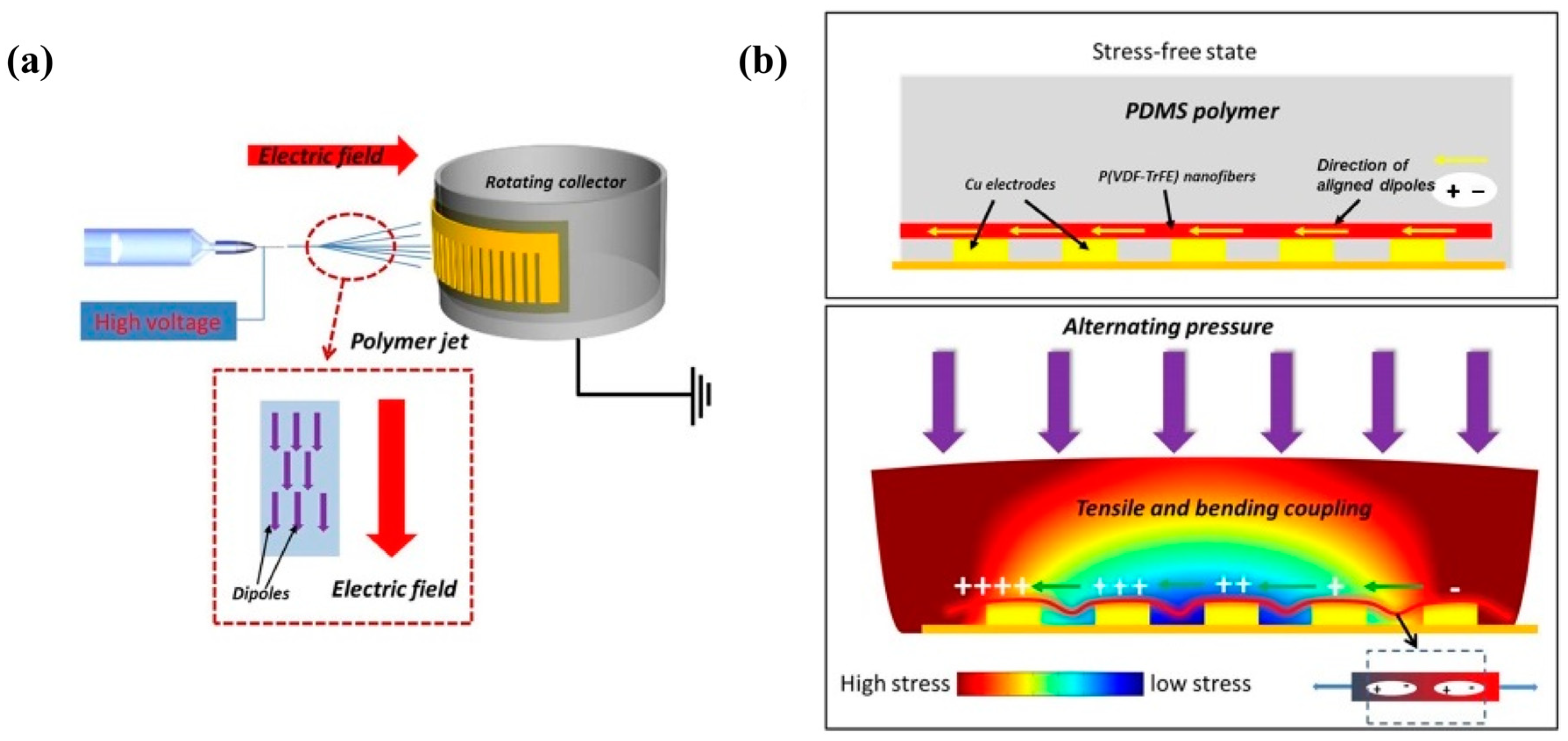 Molecules 29 03576 g012
