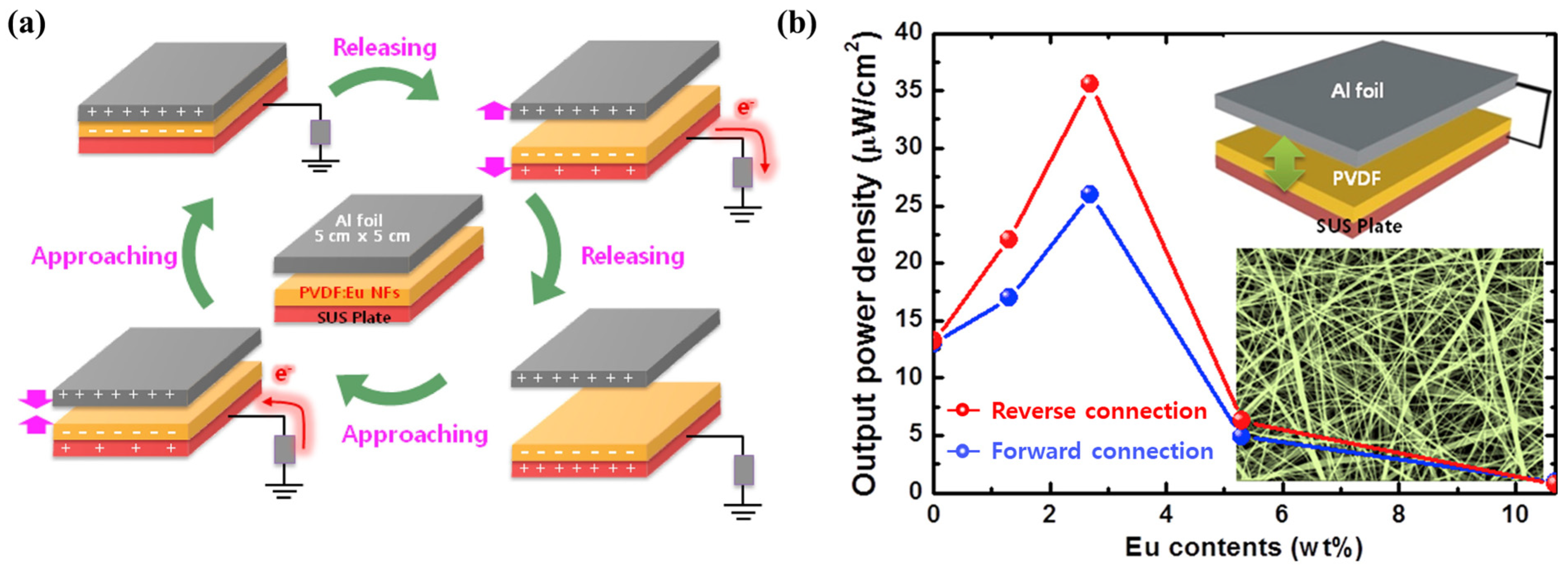 Molecules 29 03576 g013