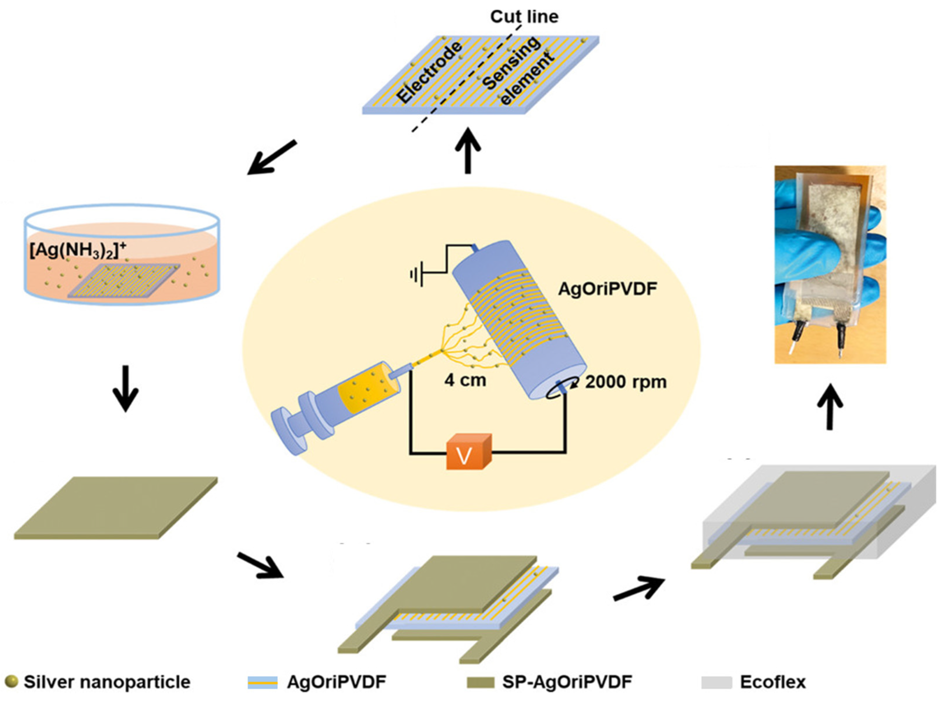 Molecules 29 03576 g015