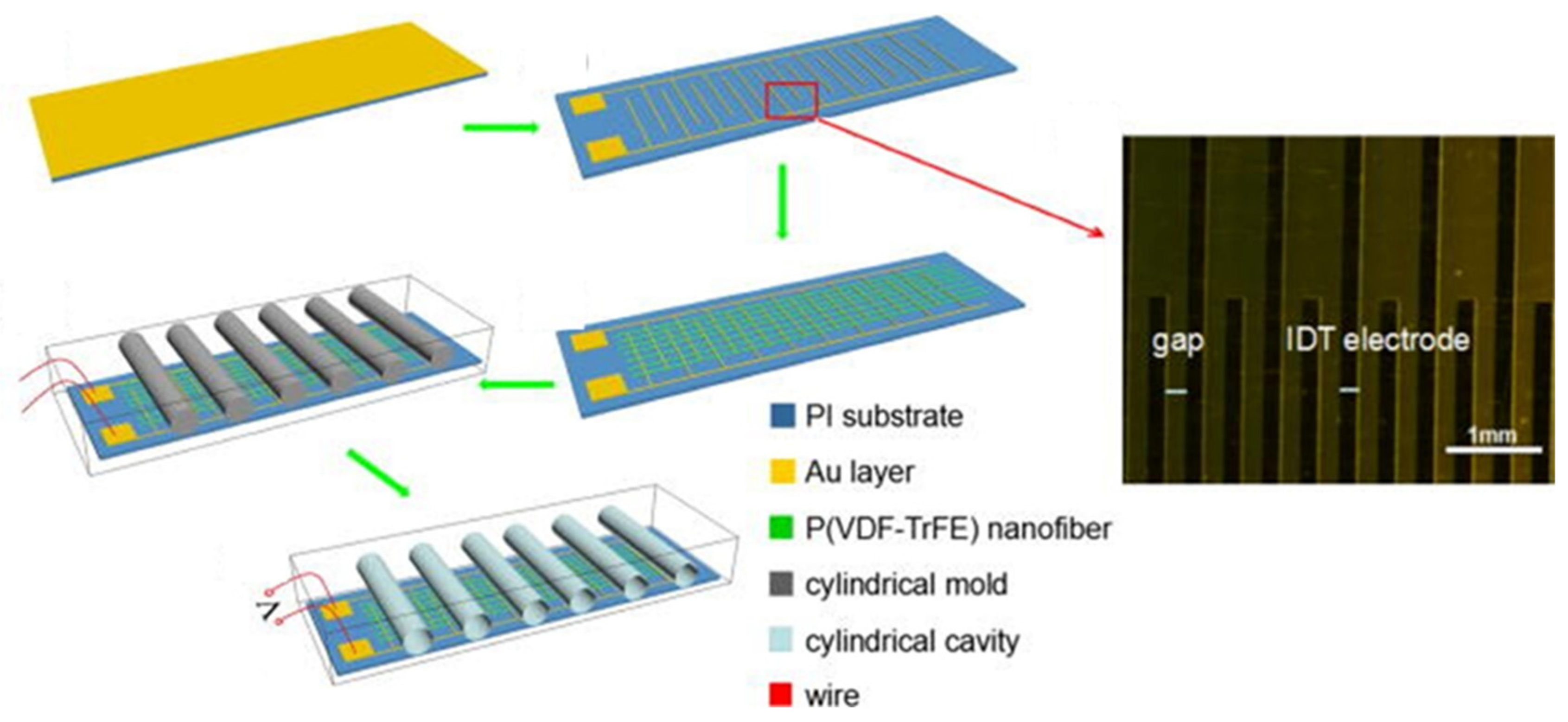 Molecules 29 03576 g016