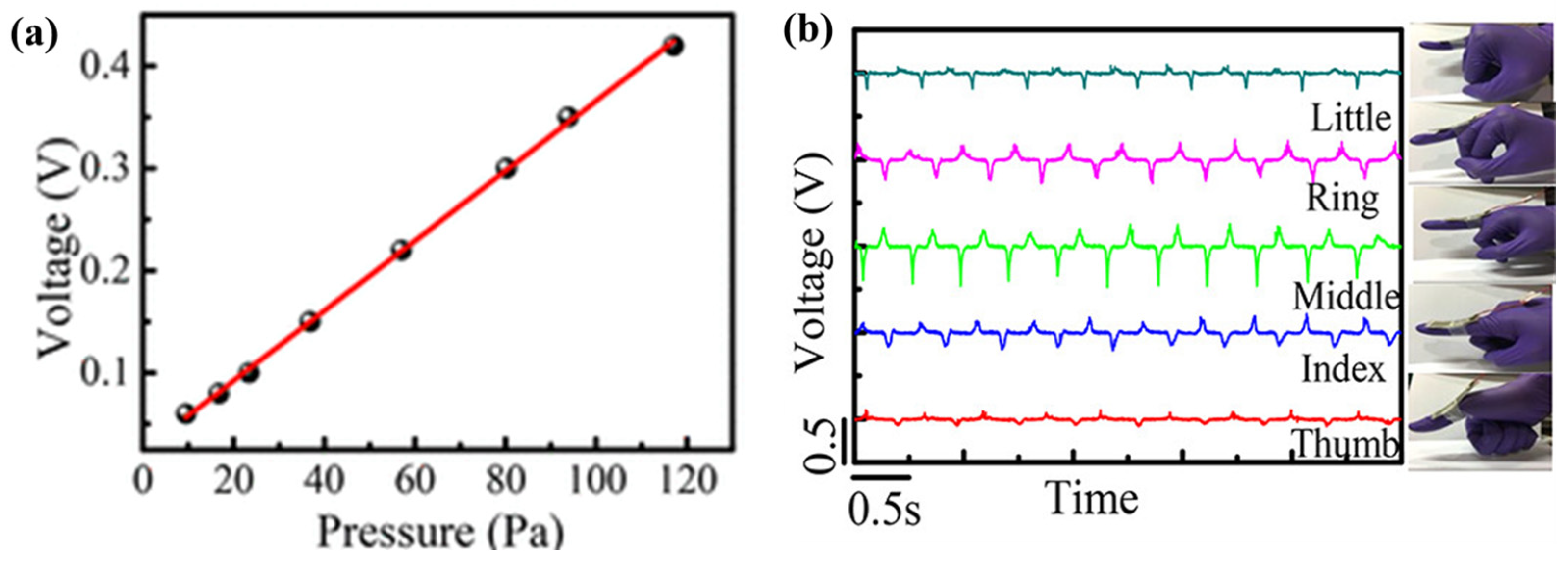 Molecules 29 03576 g019