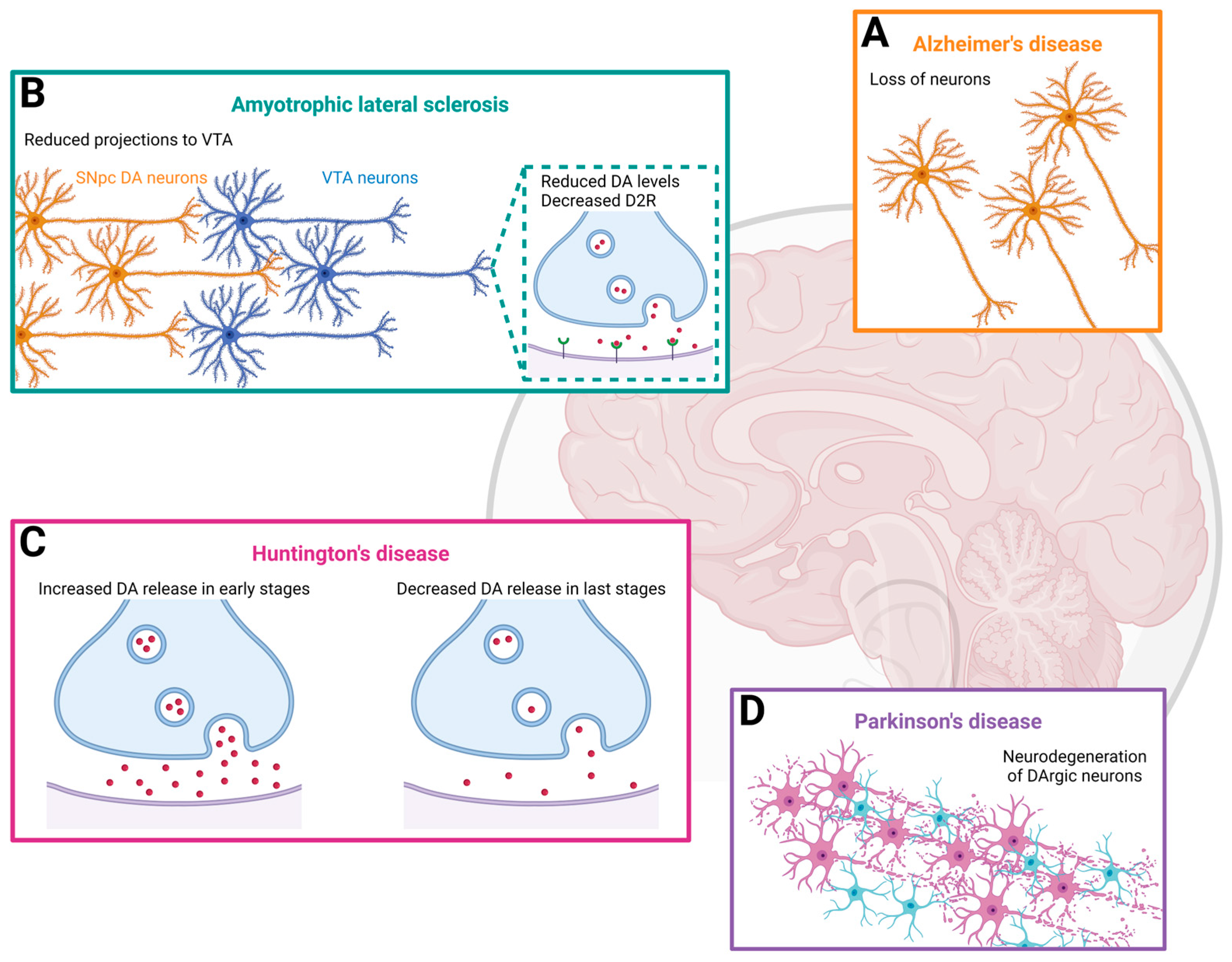 Molecules 29 03580 g001 Molecules 29 03580 g001