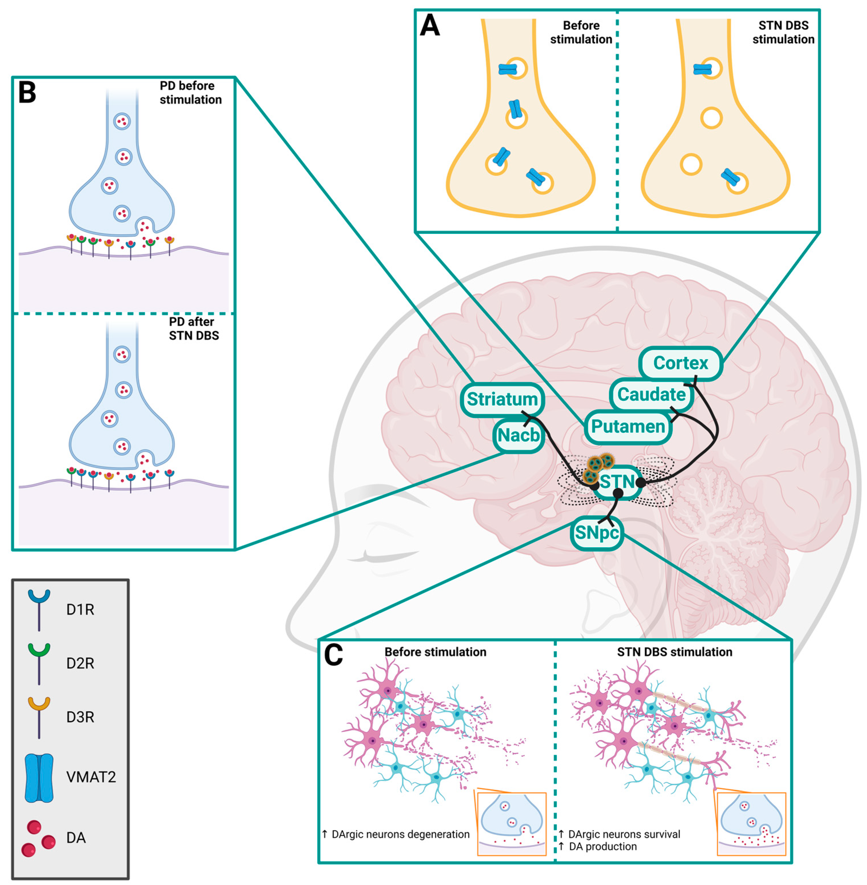 Molecules 29 03580 g002 Molecules 29 03580 g002